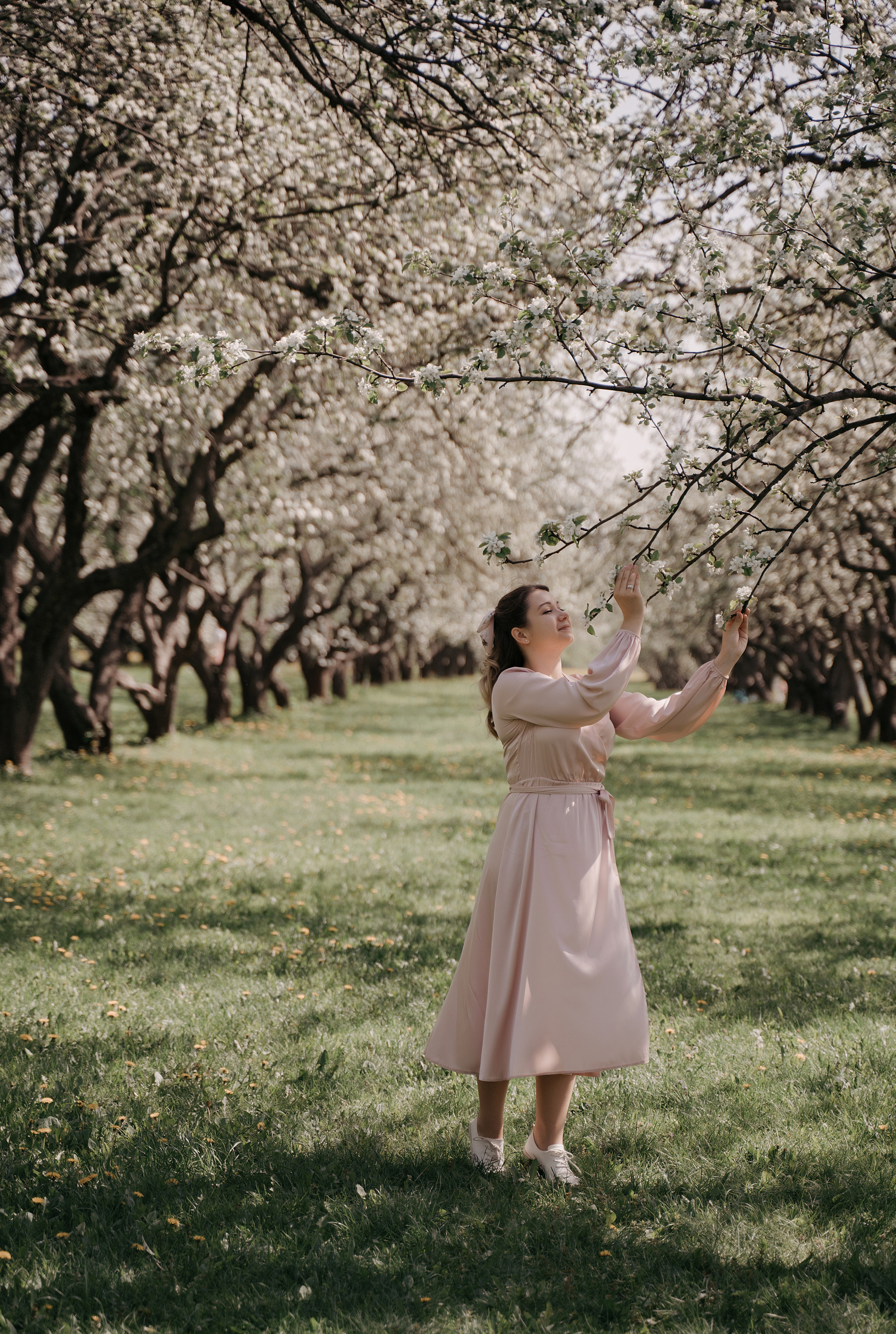 Фотосессия в яблонях. Свадебный фотограф