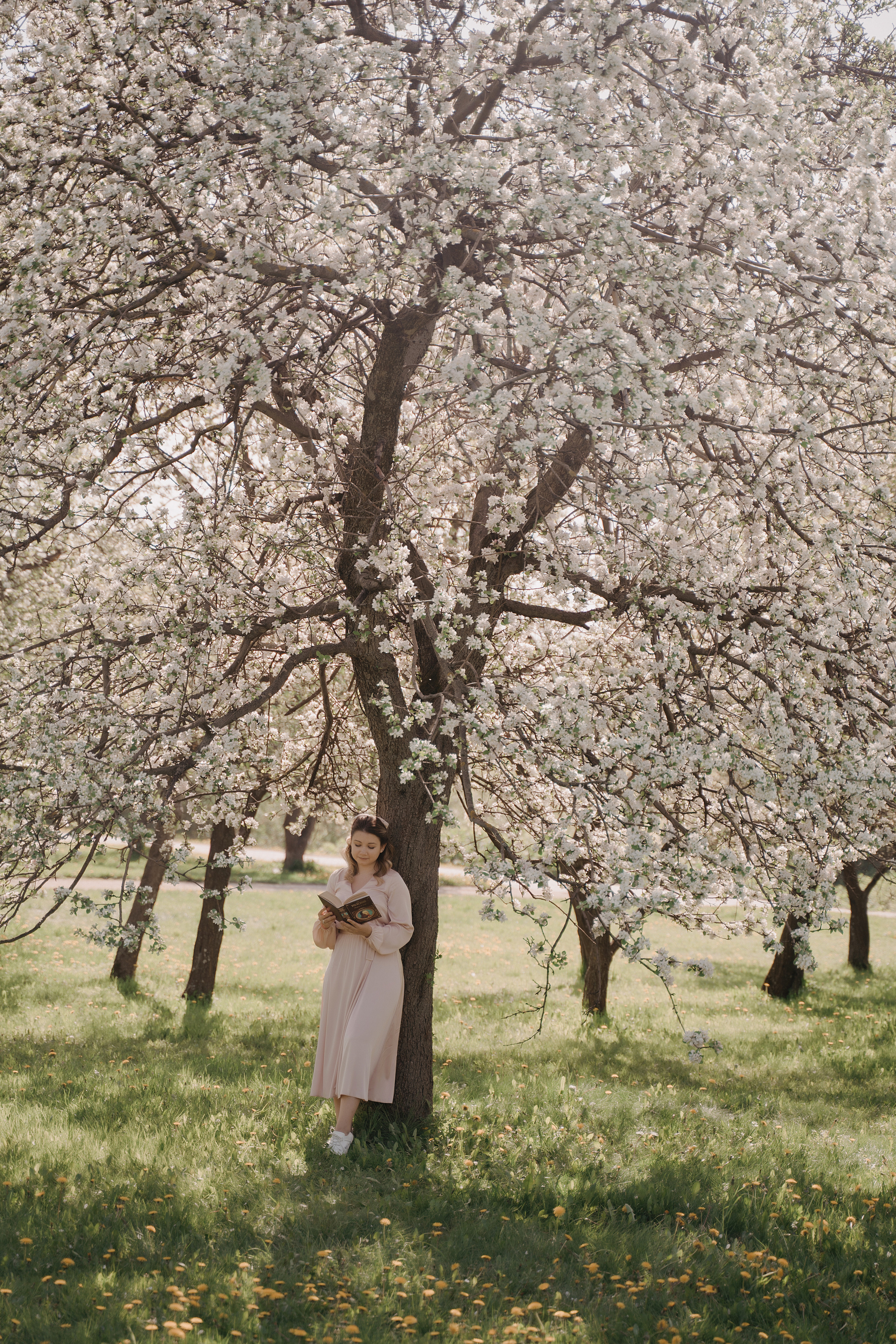 Фотосессия в яблонях. Свадебный фотограф