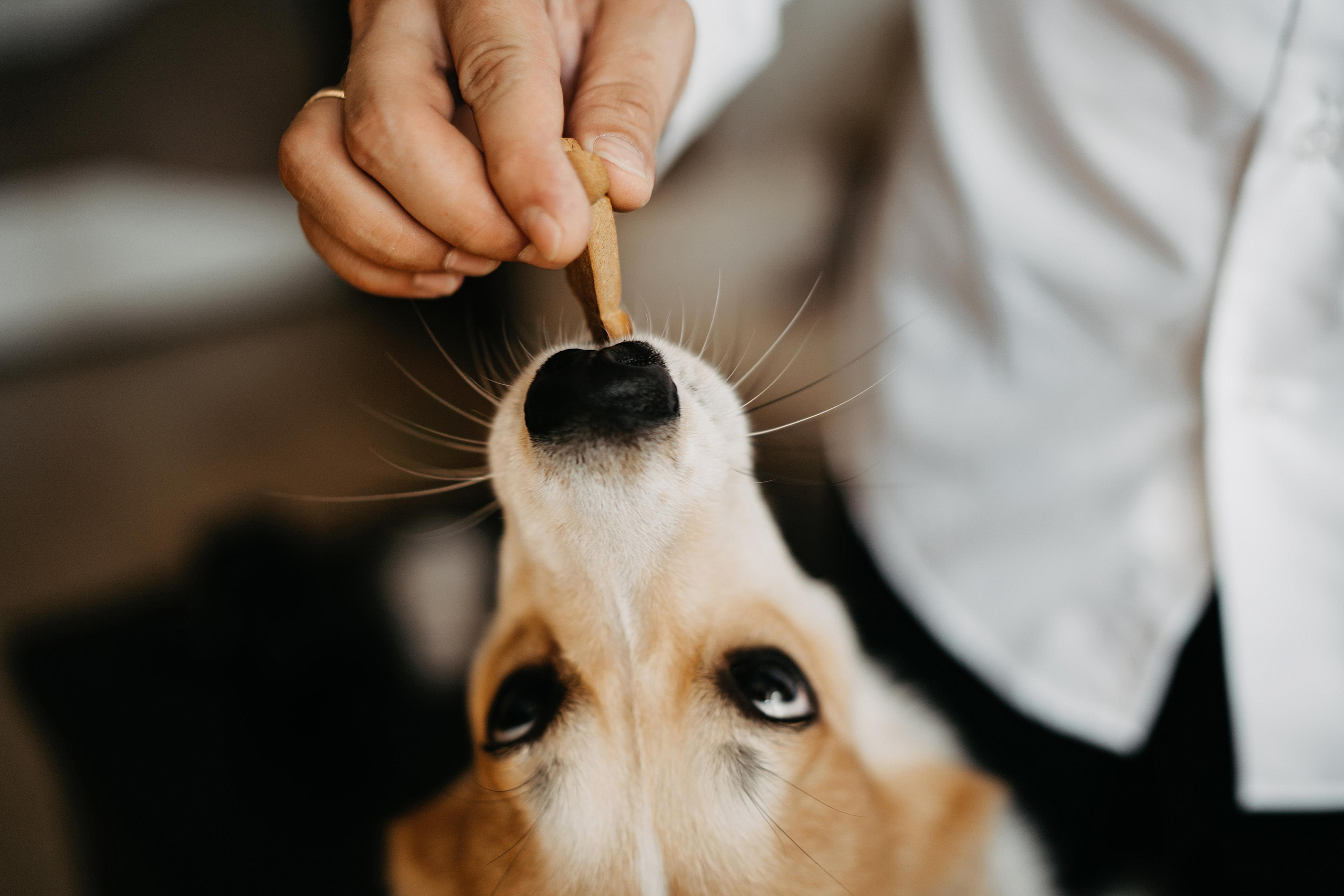 Руслан и Евгения (полный день). Свадебный фотограф