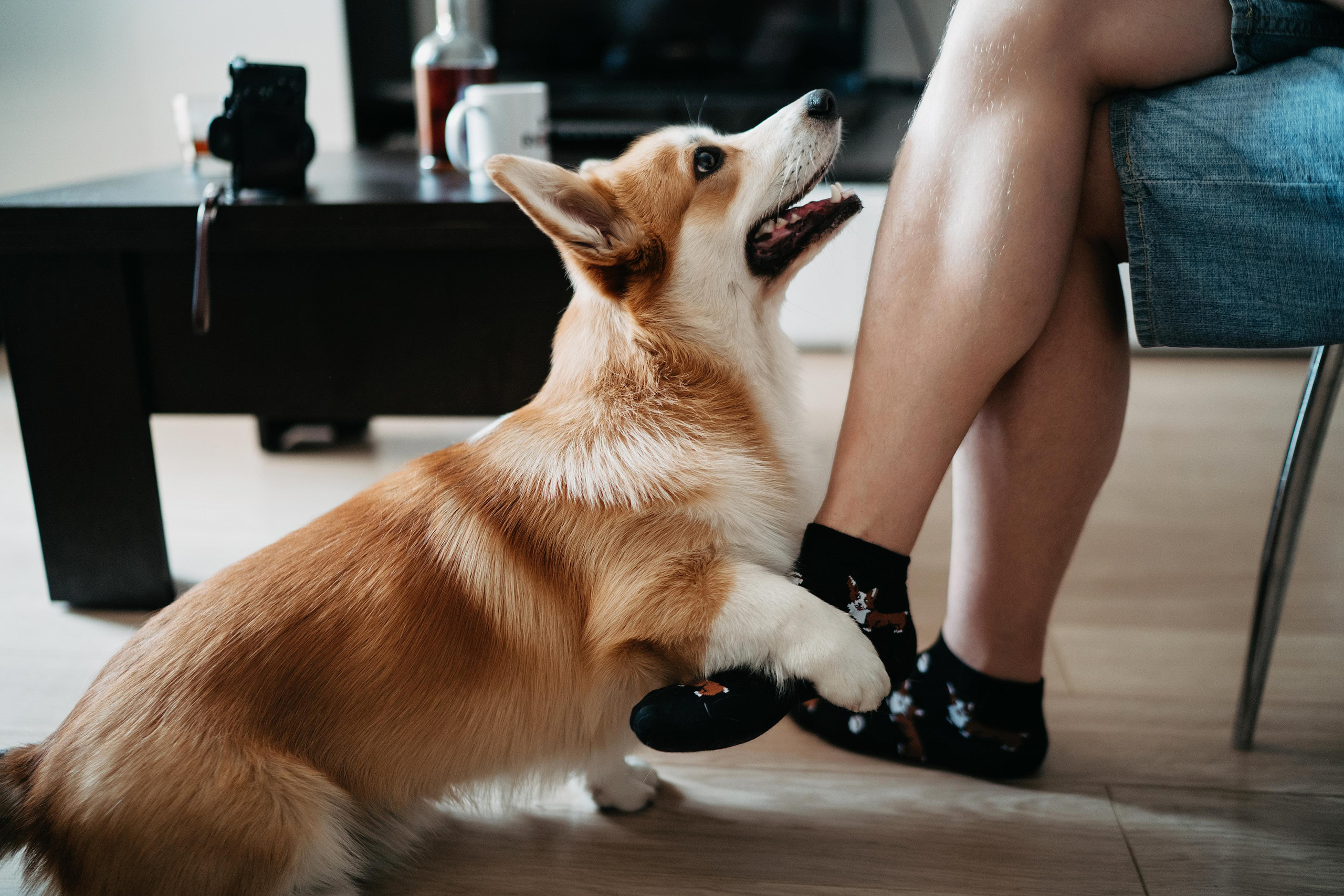 Руслан и Евгения (полный день). Свадебный фотограф