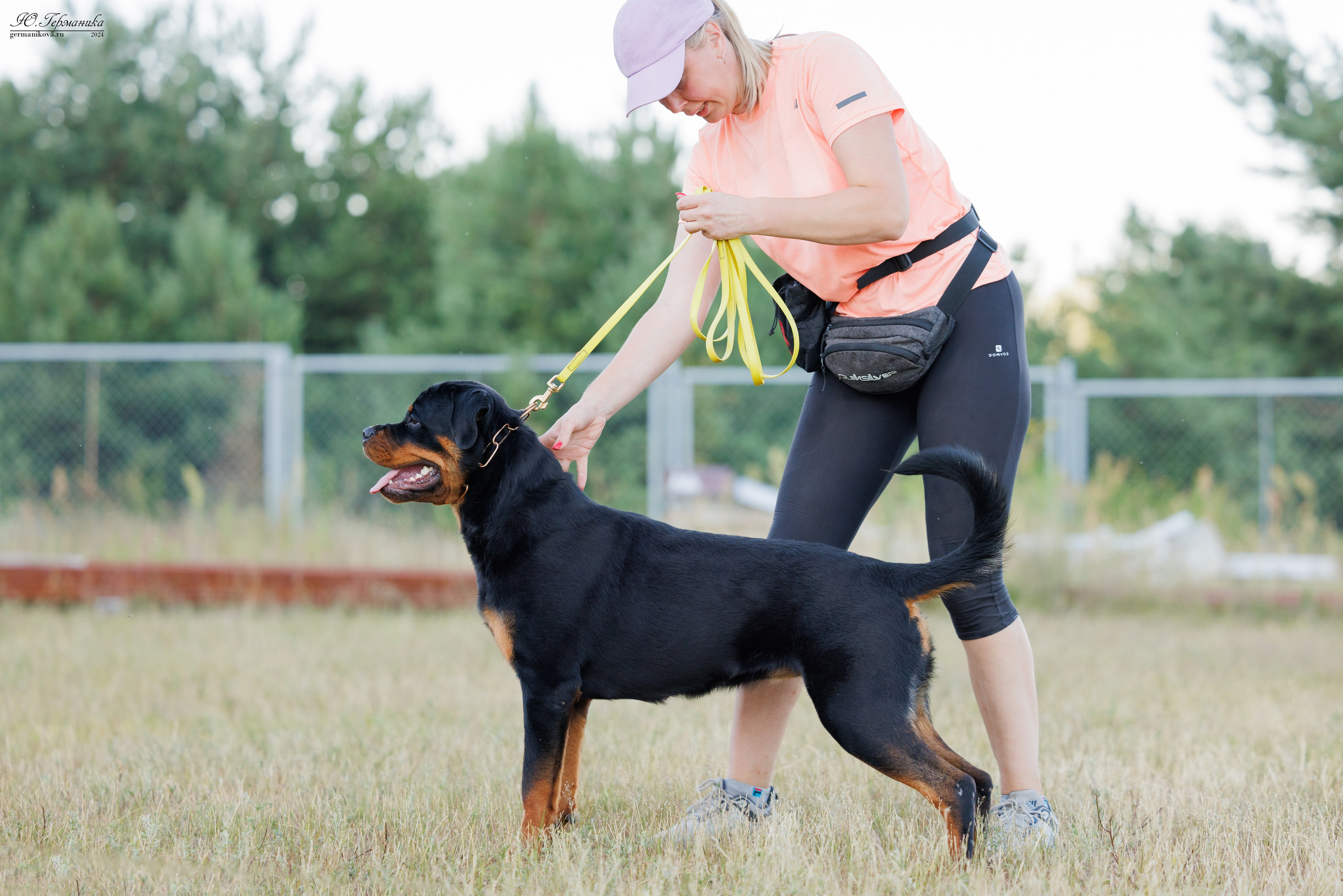 ПК и КЧК ротвейлеры Тверь 6-7.07.2024. Фотограф-анималист Юлия Германика