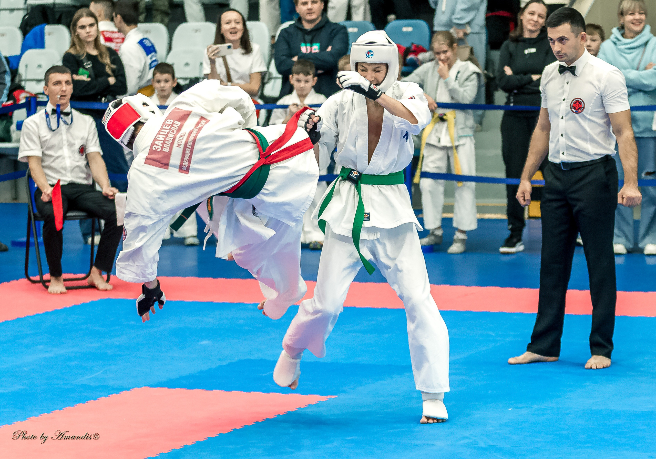 Чемпионат по Киокушинкай Центрального Федерального округа. Репортажная съемка в Москве и области. Анималистика