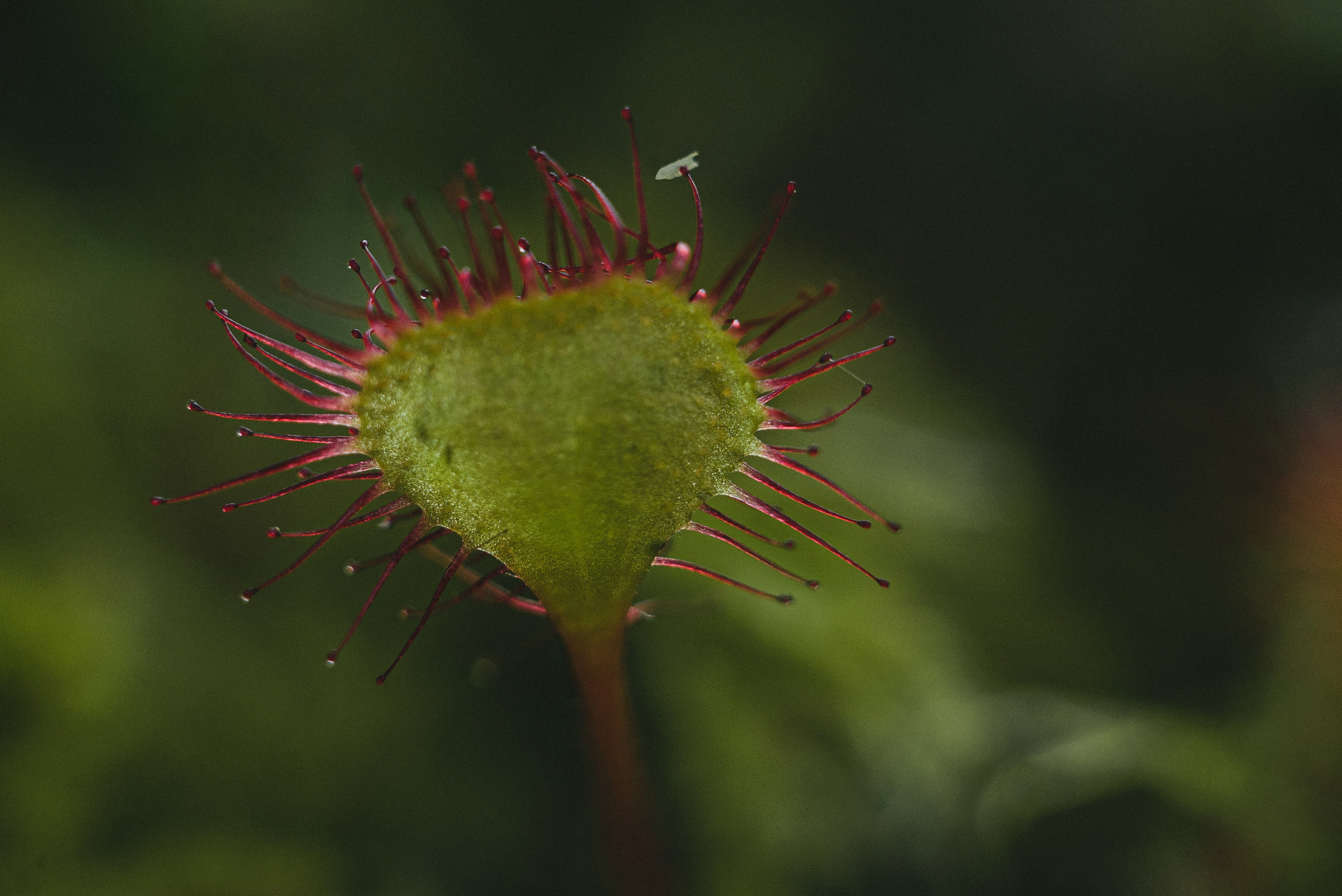 Фотопленэр на болоте. Фотообъединение Самарского областного отделения Союза журналистов России