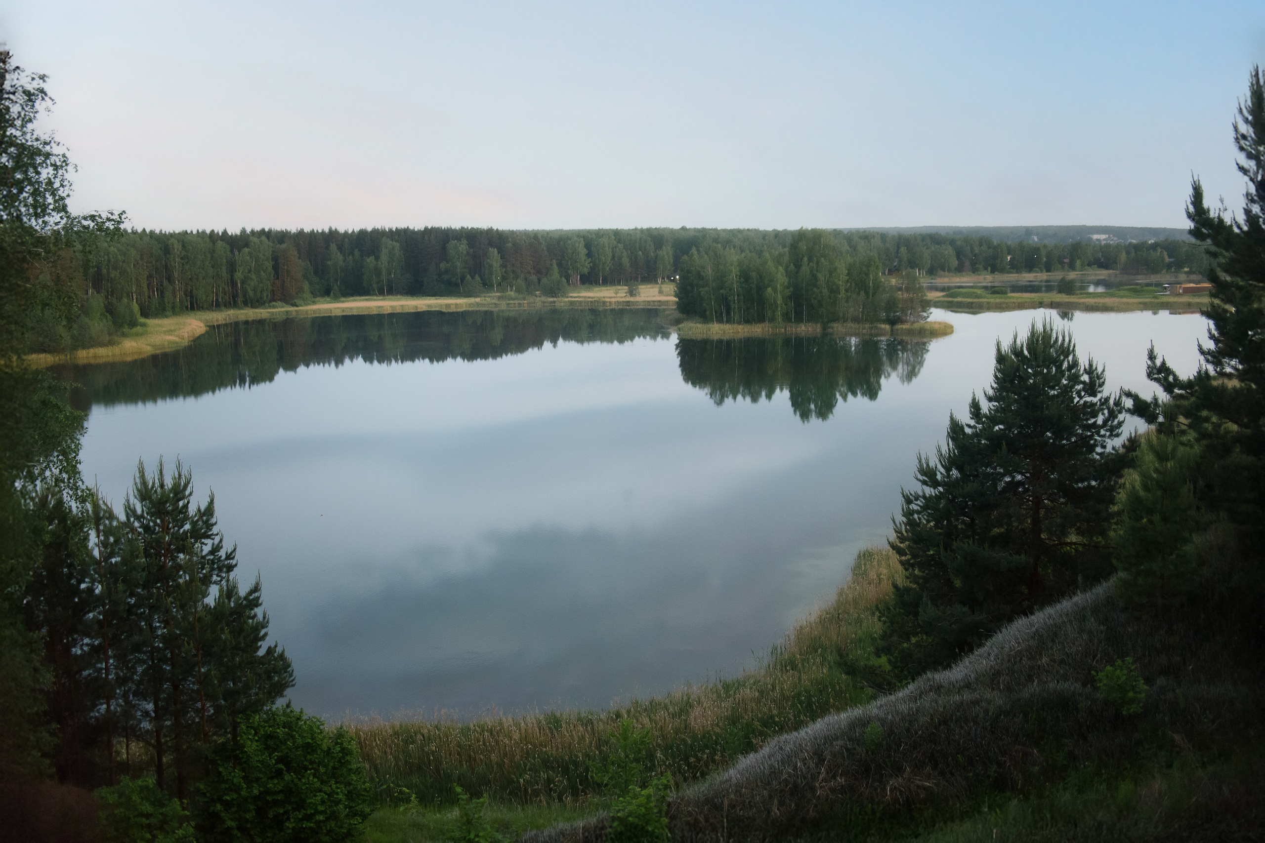 Максим, Надя, Шелби и Рой — 31.05.2025. Фотограф — Анималист | Анна Абрамова