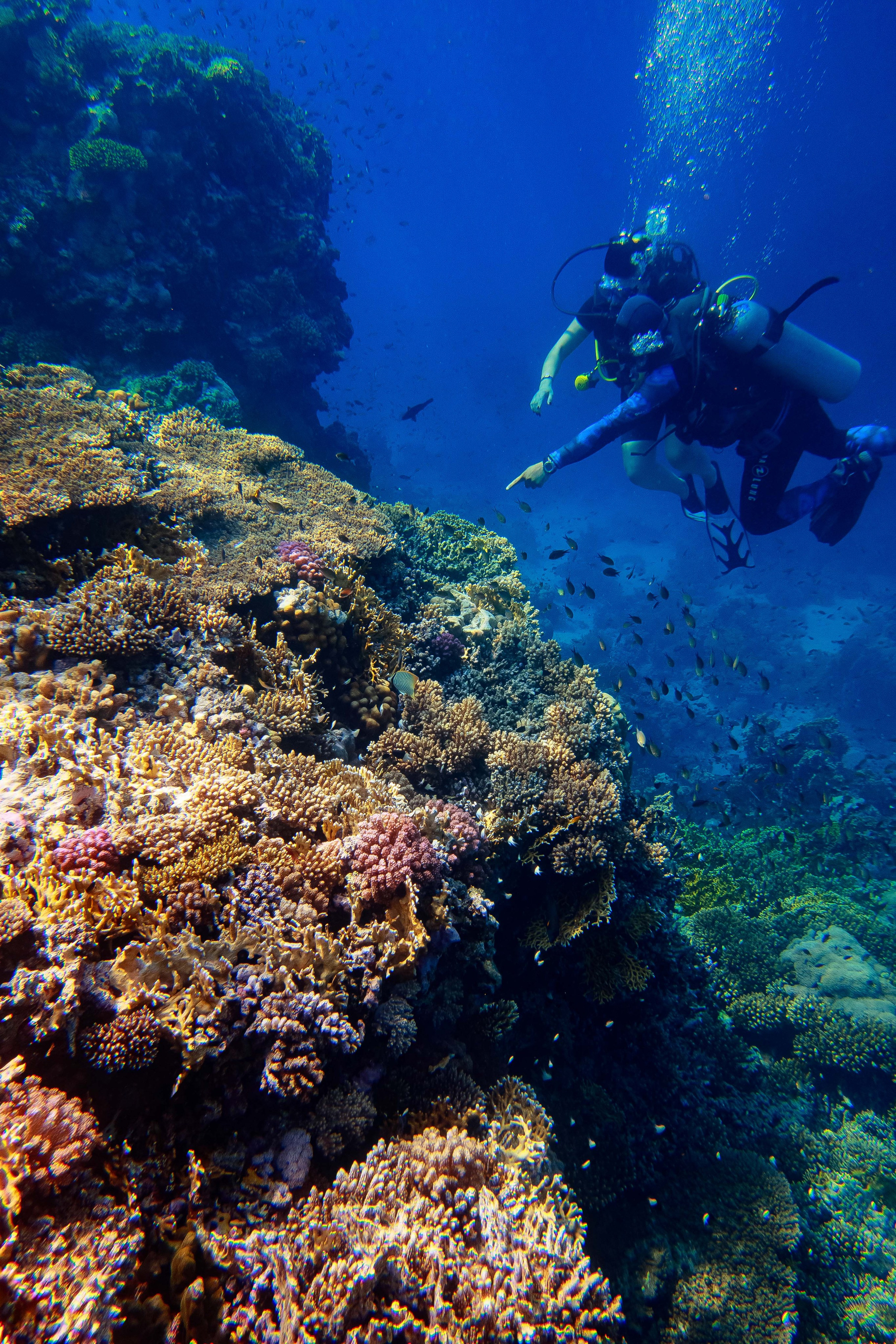 Fish. Фотограф Светлана Голицына