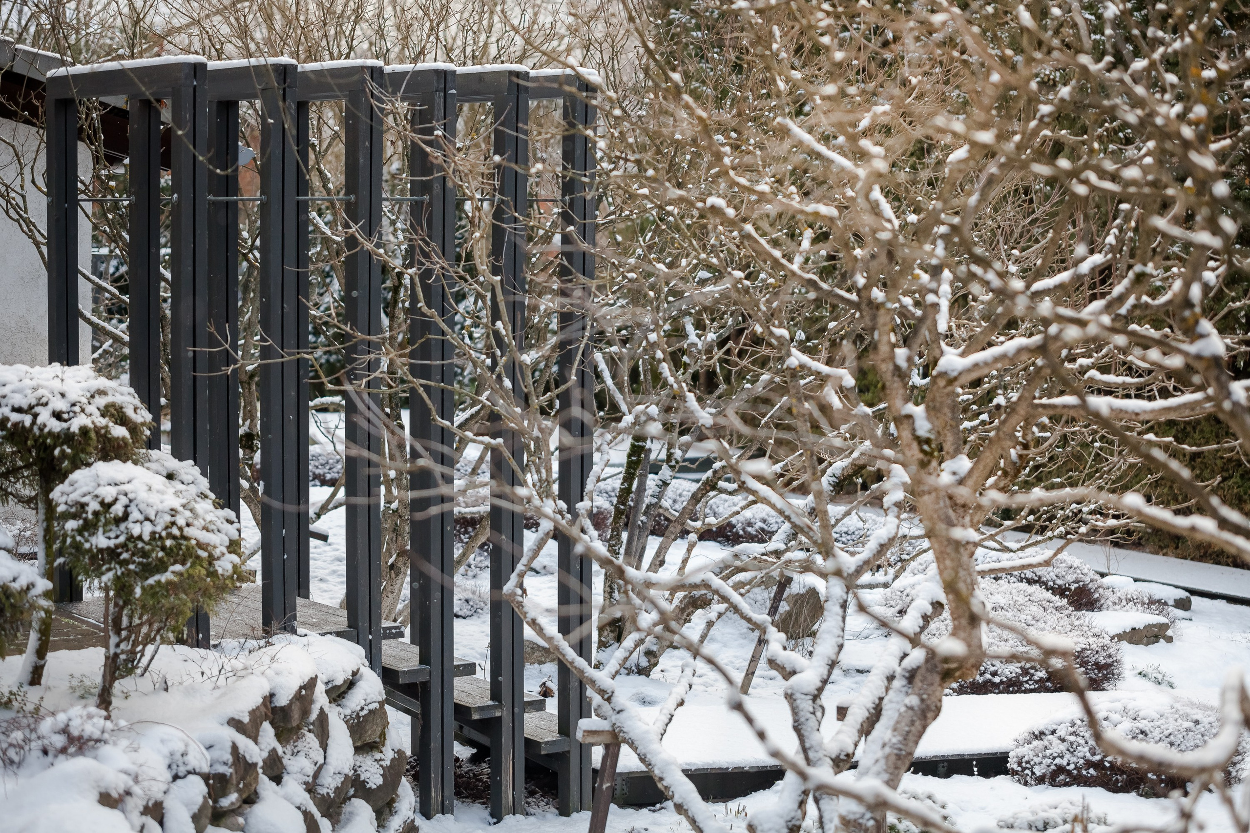 ОДНИМ СОЛНЕЧНЫМ ЗИМНИМ ДНЁМ!. Туманов Виталий — фотограф Москва