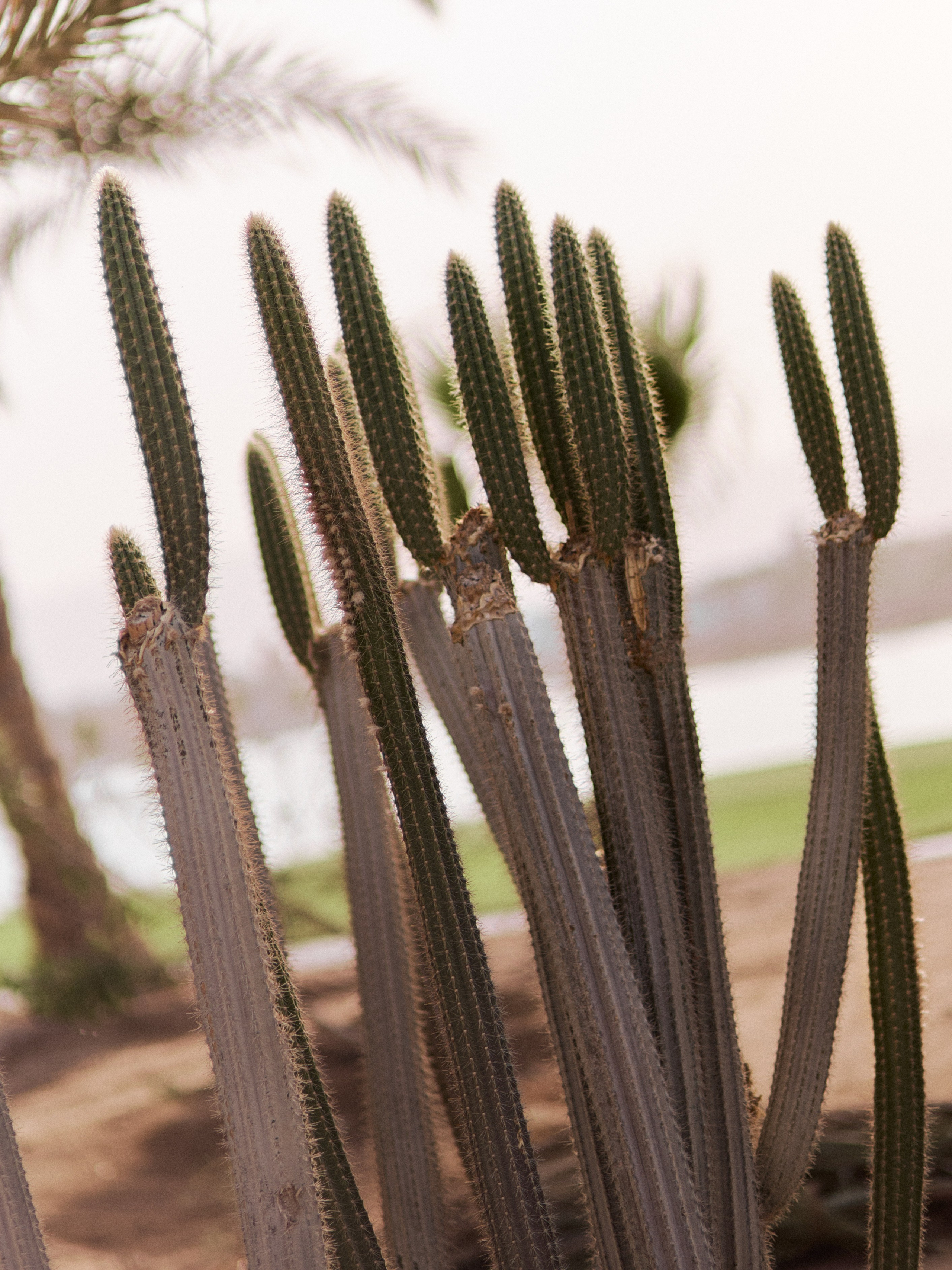 Другое 3. Jorgis Talè — photographer, kind person, teacher of arts and other mag