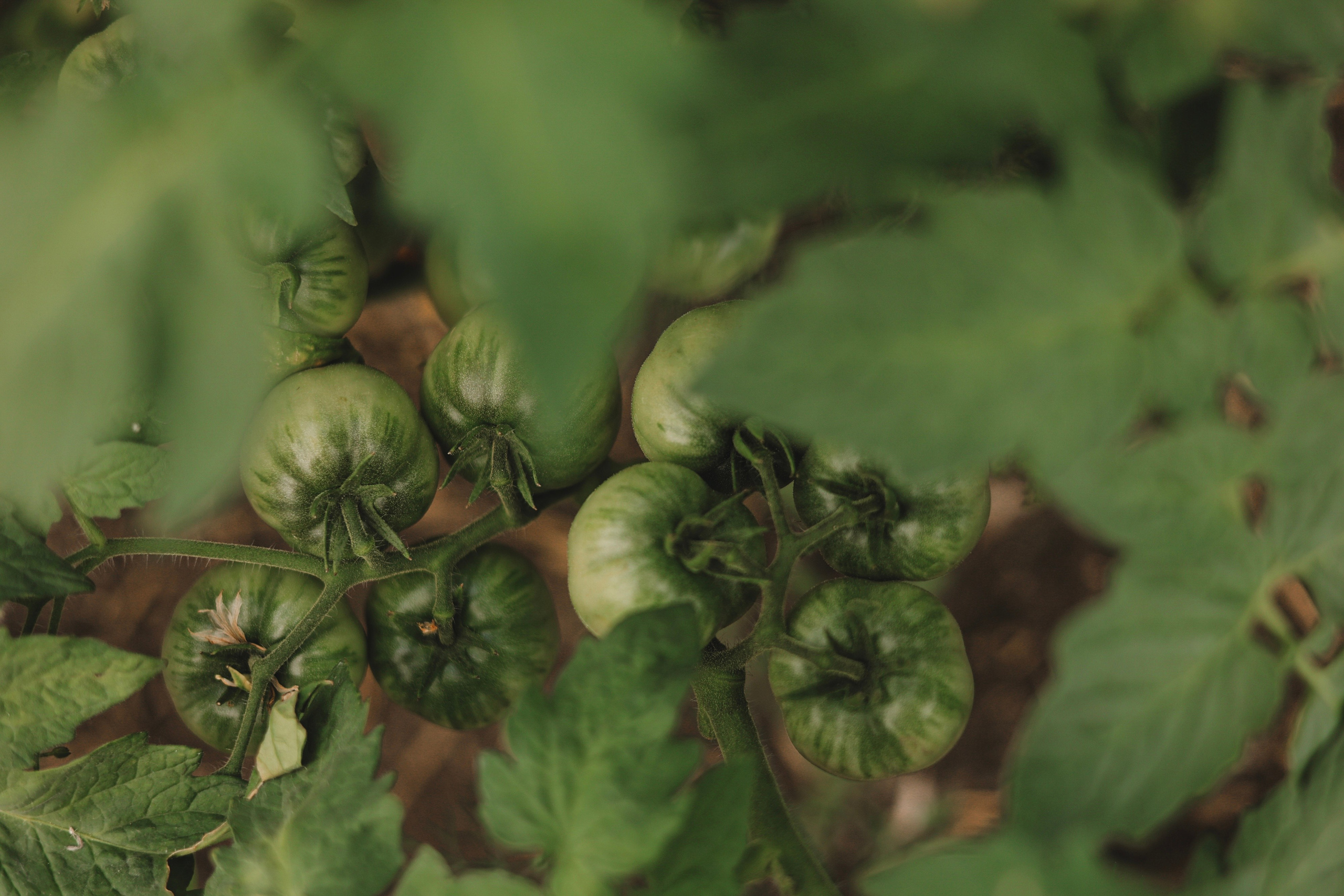 СТРИТ И ПРИРОДА. Репортажный фотограф Наталья Лапцевич