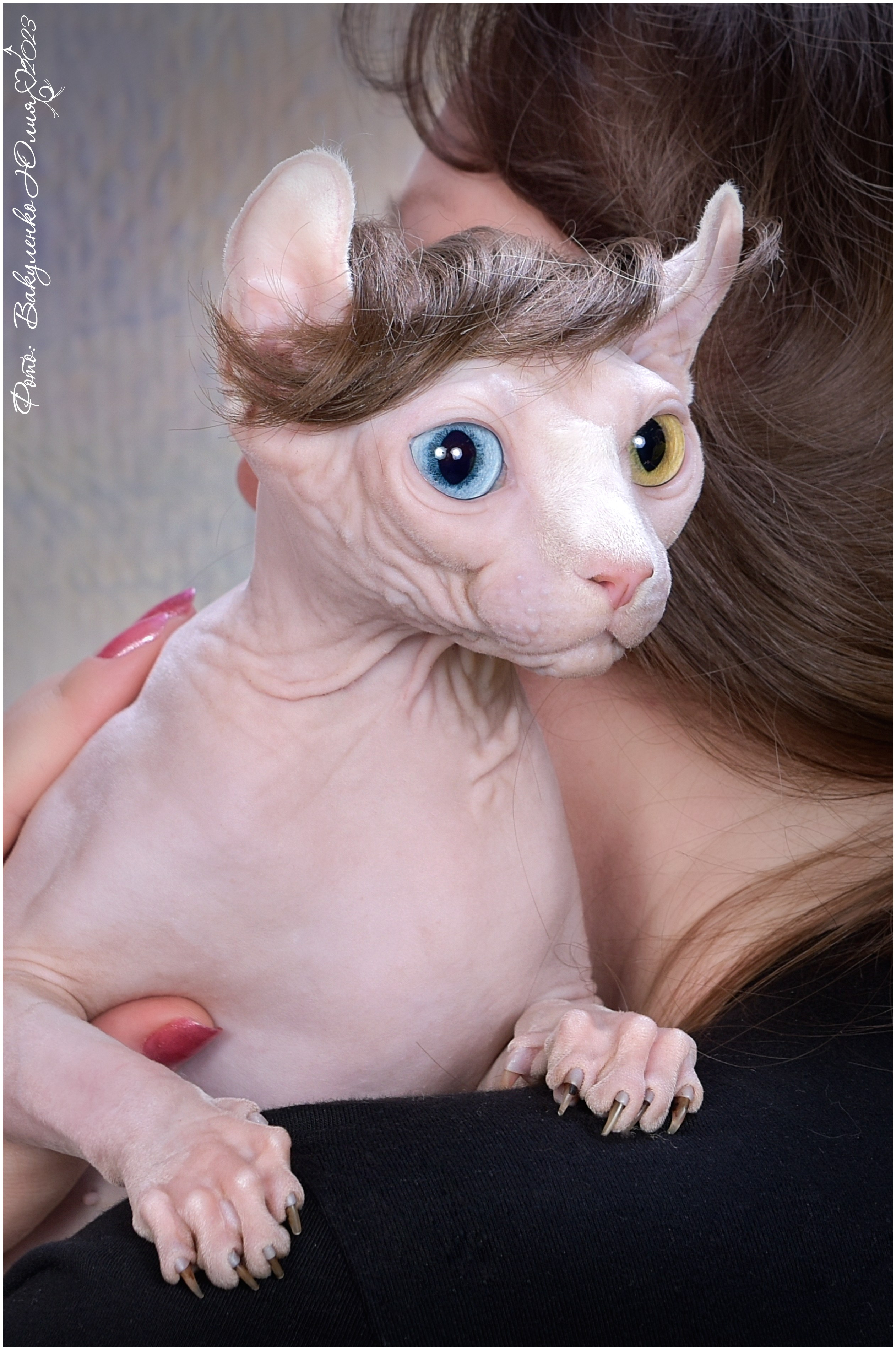 Взрослые. Фотограф анималист | семейный Юлия Вакуленко, г. Краснодар