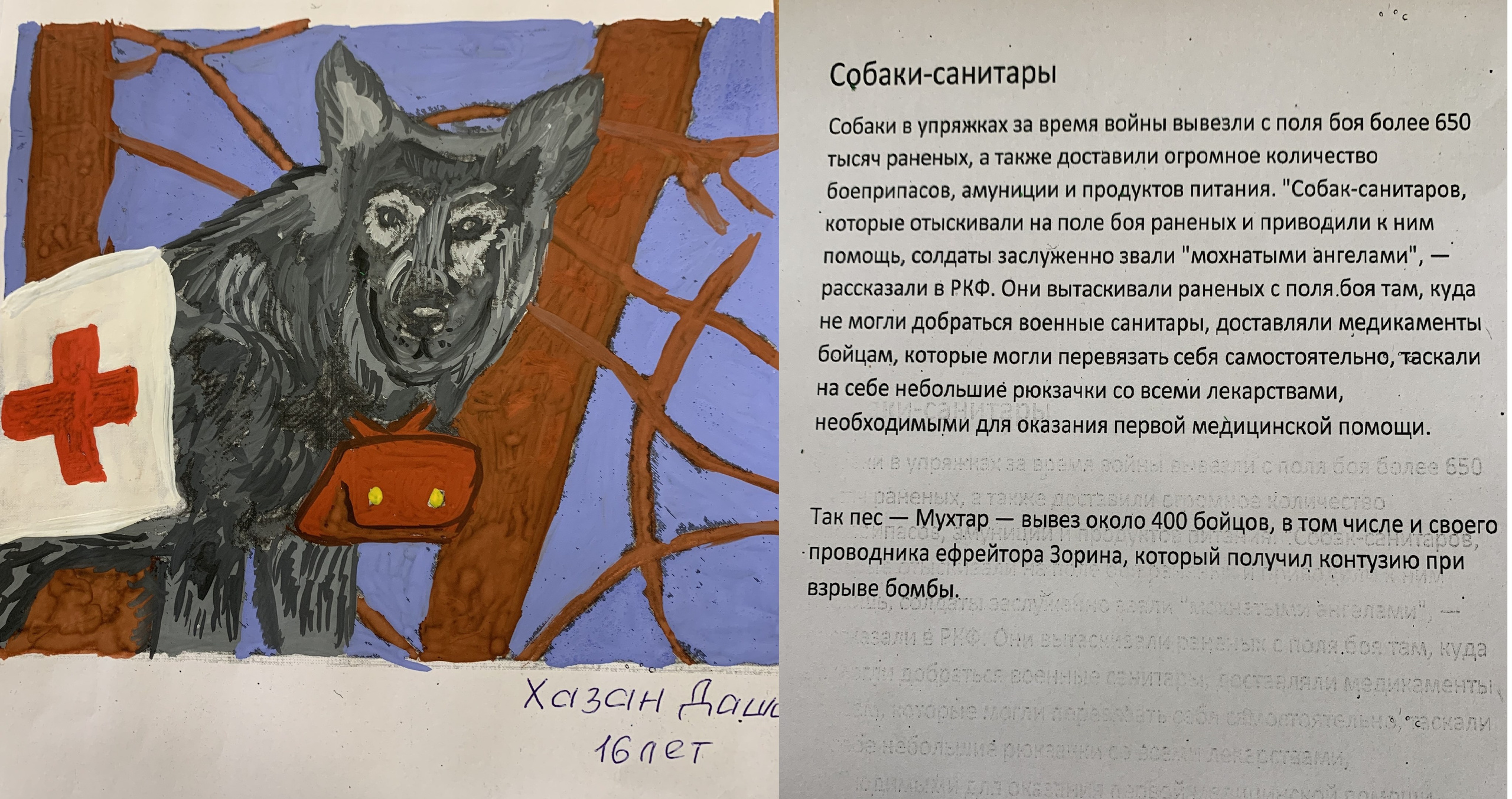 Акция рисунков «Собаки-герои Великой Отечественной войны». НРОО КЦ "Собаковод"