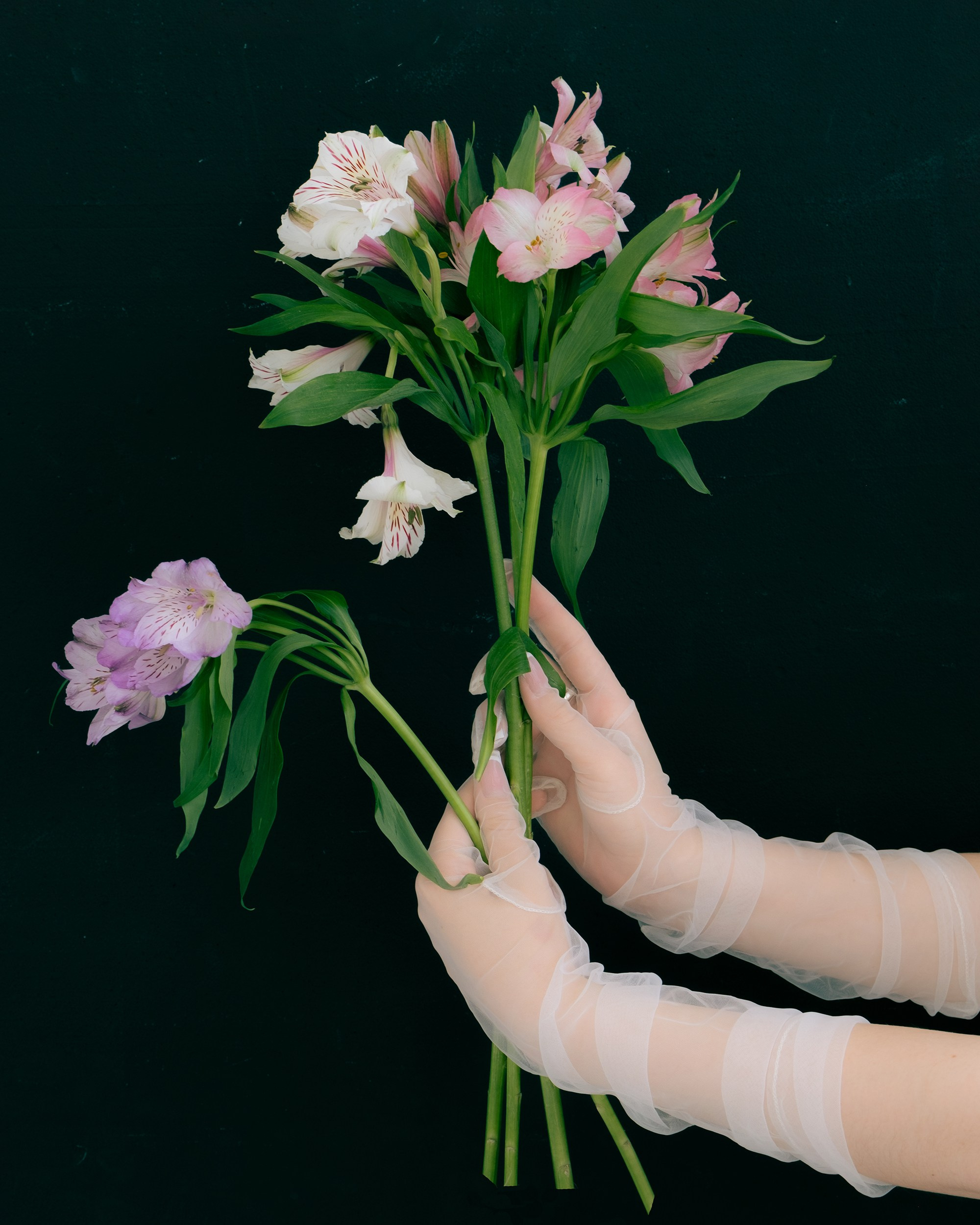 Настя. Портретный фотограф Настя Богданова