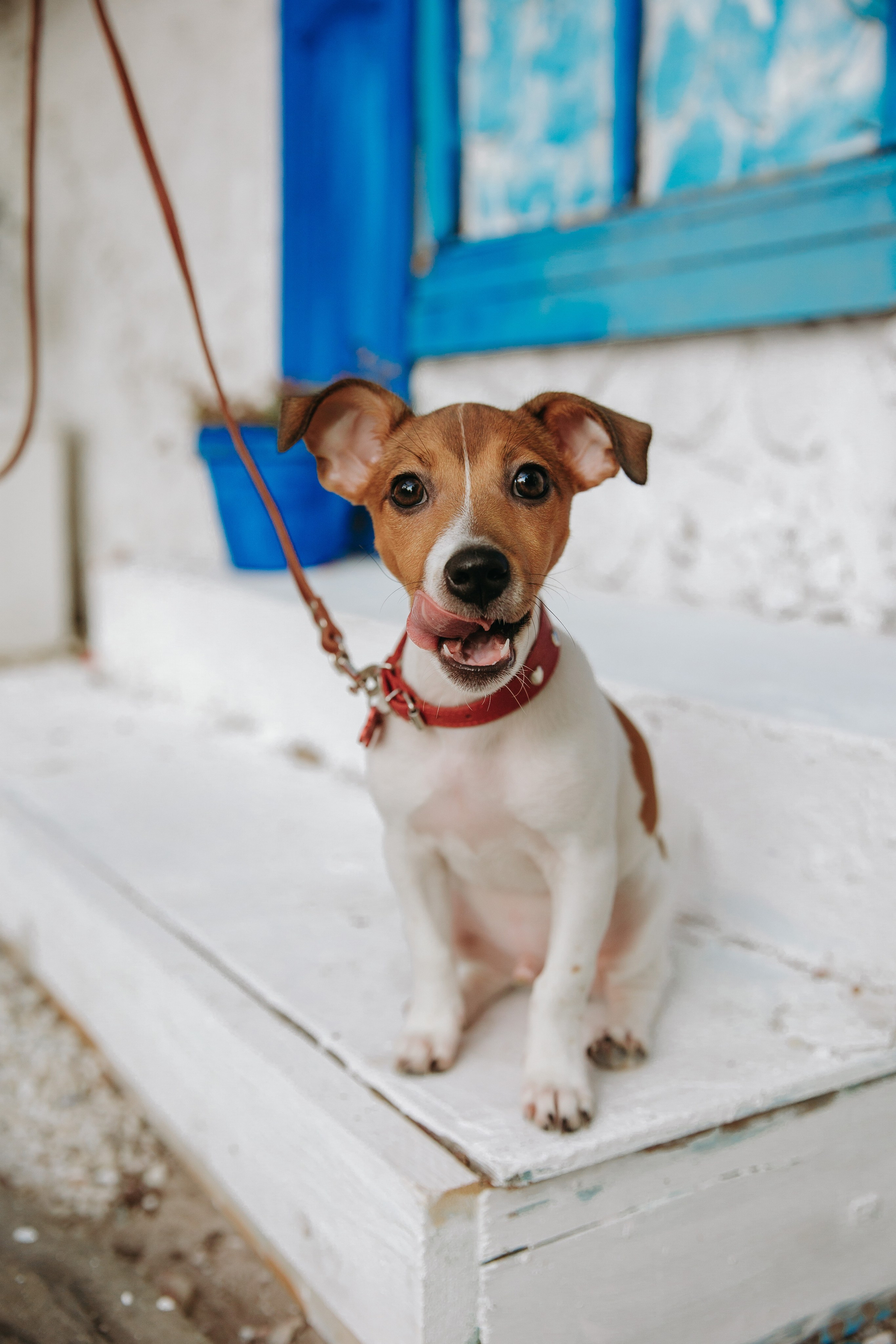 Съемки. Свадебный и семейный фотограф в Уфе Руслан Миргаляов