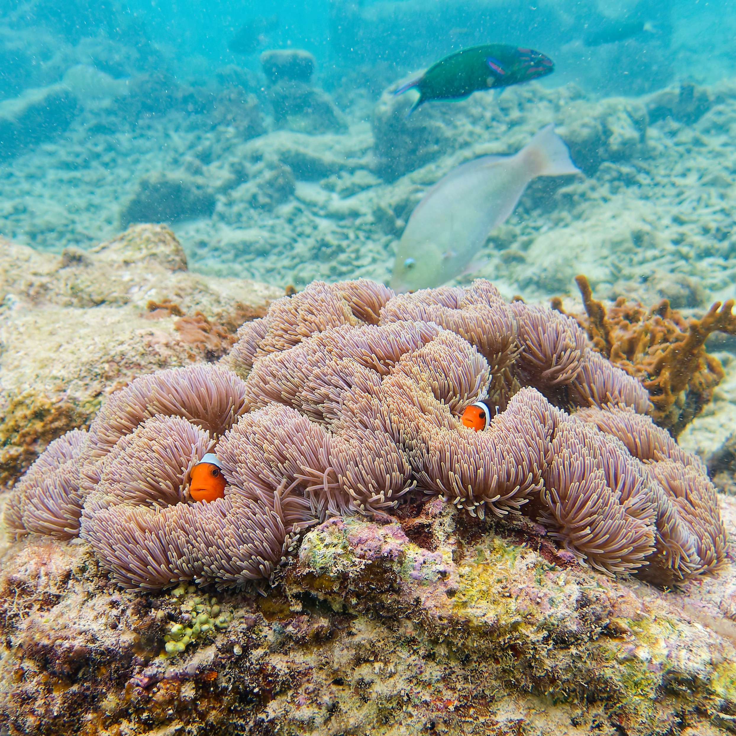 Мне посмотреть. Рыбов показываю