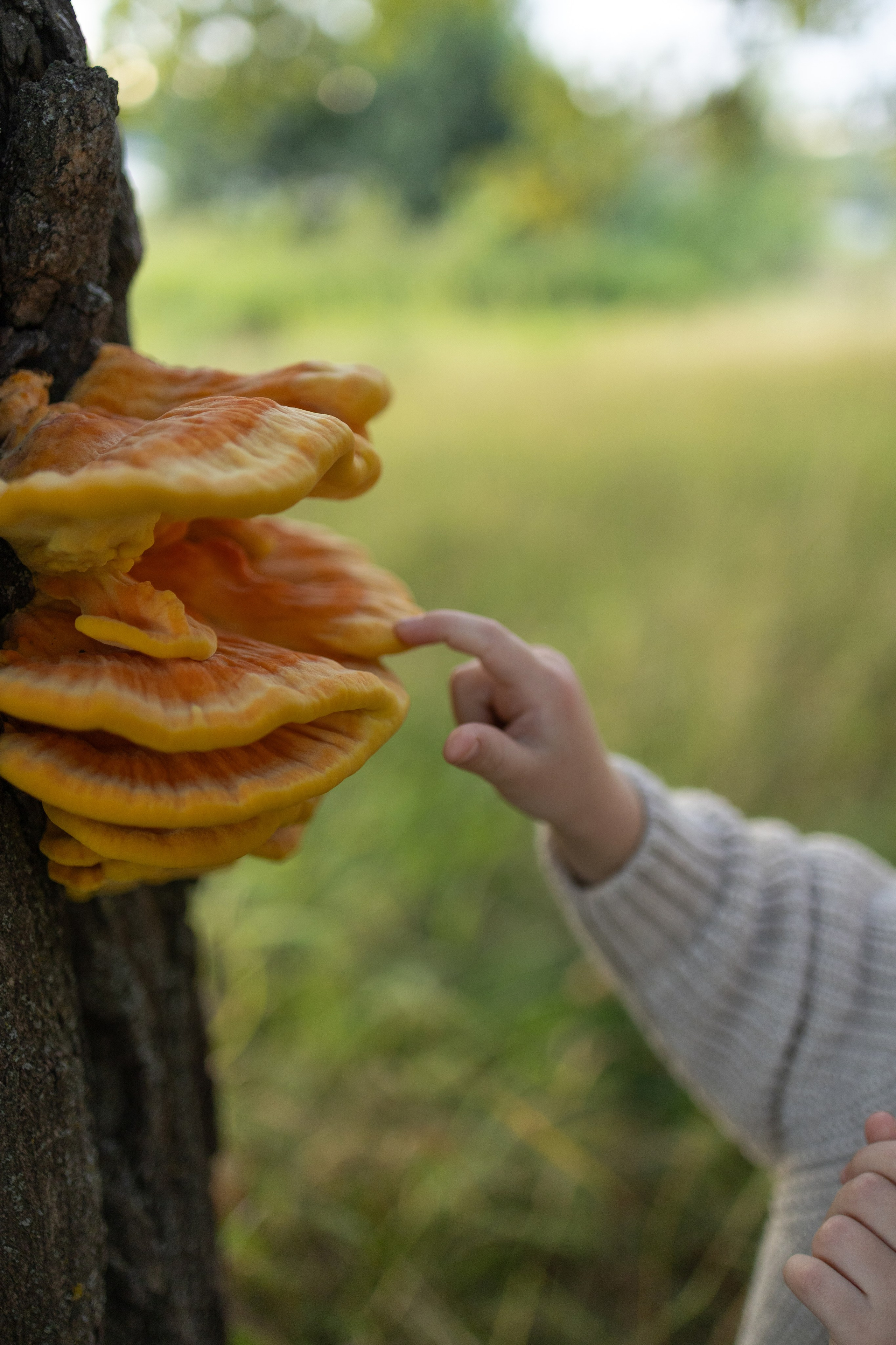 Оля с доченькой. Семейный фотограф в Дзержинске Наталья Лаэтина
