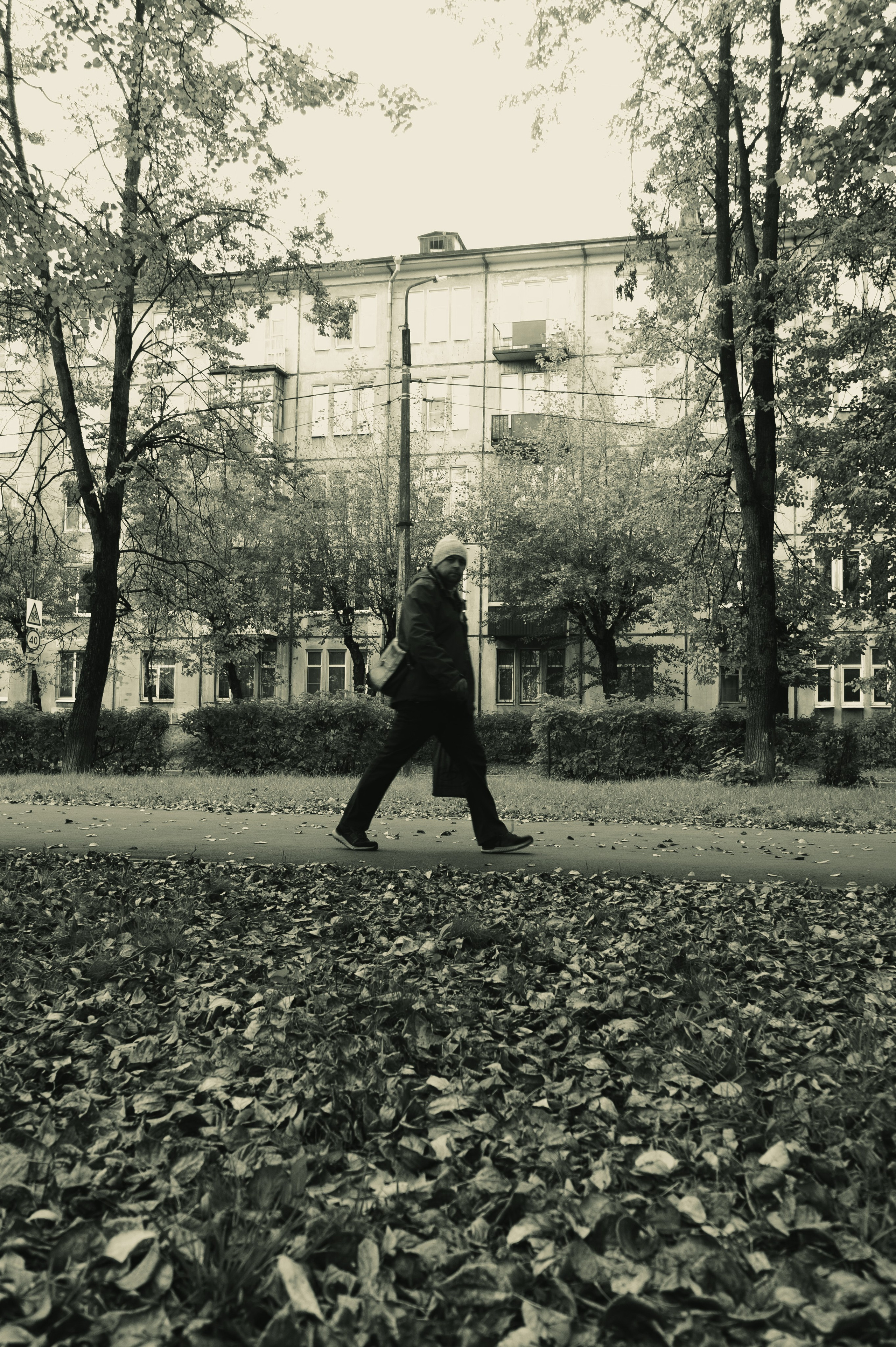 Сентябрь 2025. Den Mirov — Фотограф, Музыкант