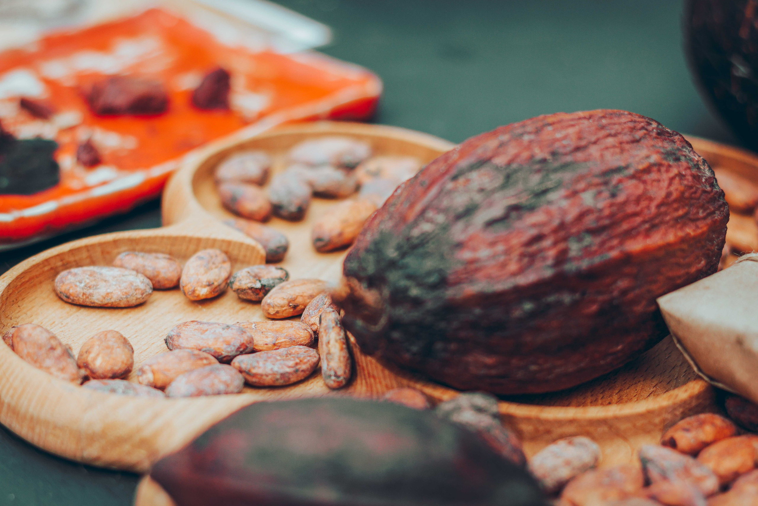 ECSTATIC WHITE |2024. Фотограф Аннё| Москва