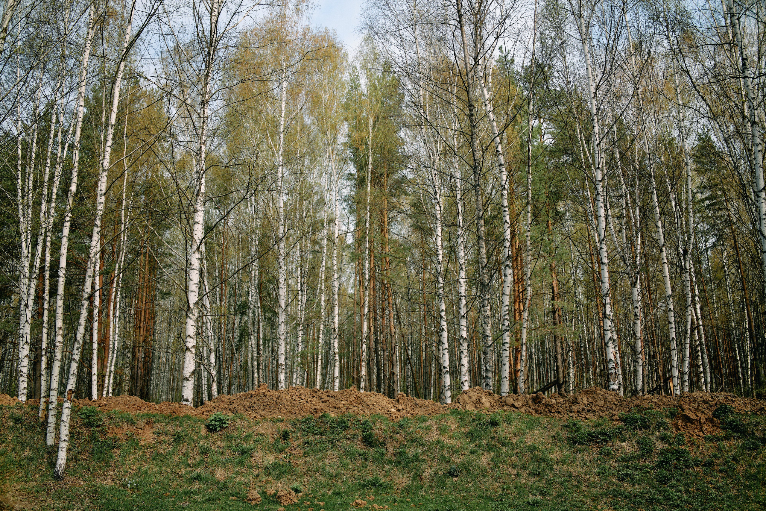 Бутик-отель Поле летом. Профессиональный Фотограф во Владимире, в Москве и в Суздале — Полина Романычева