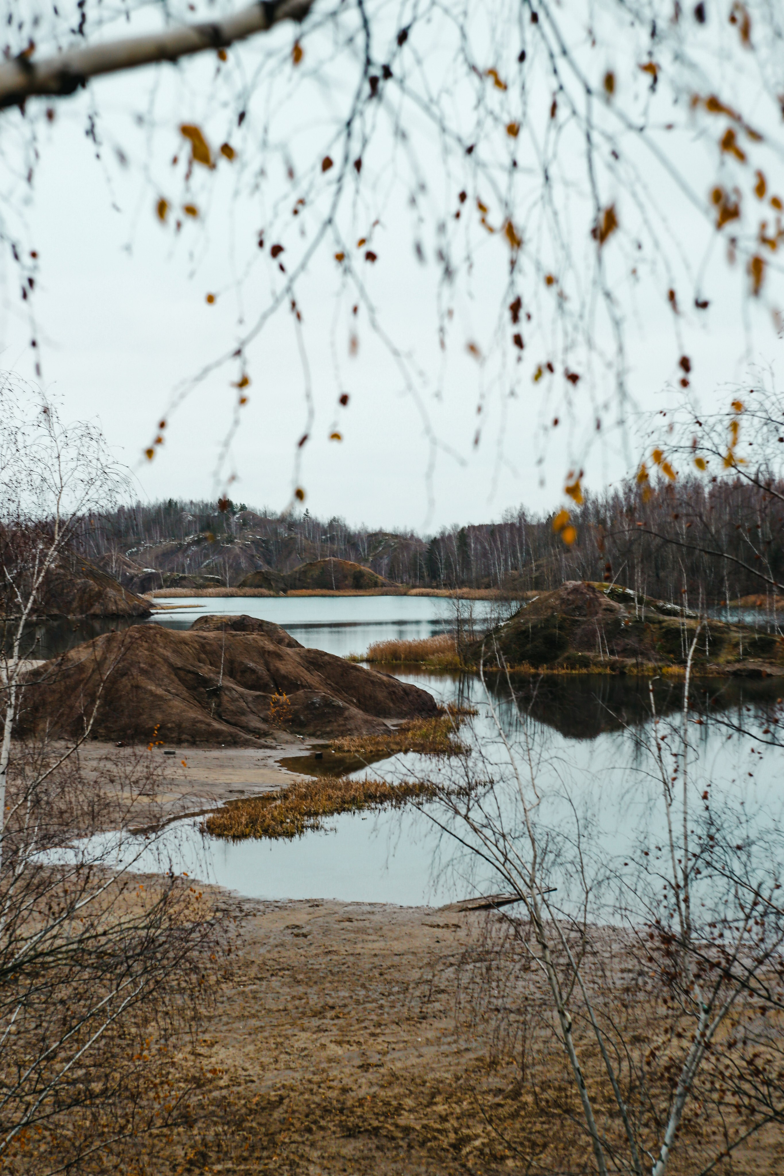 Ноябрь 2022. Efremovaphoto.ru
