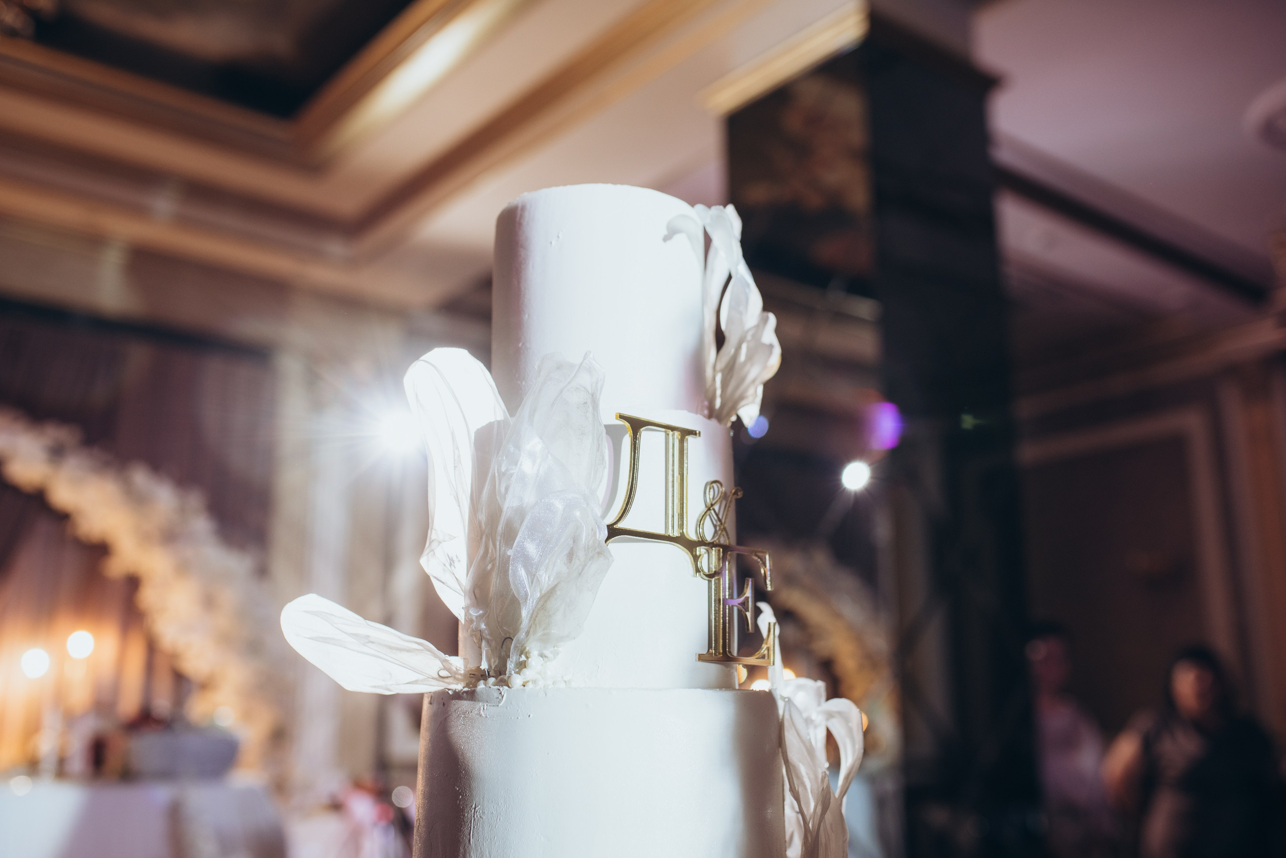 Дмитрий + Евгения. Главная