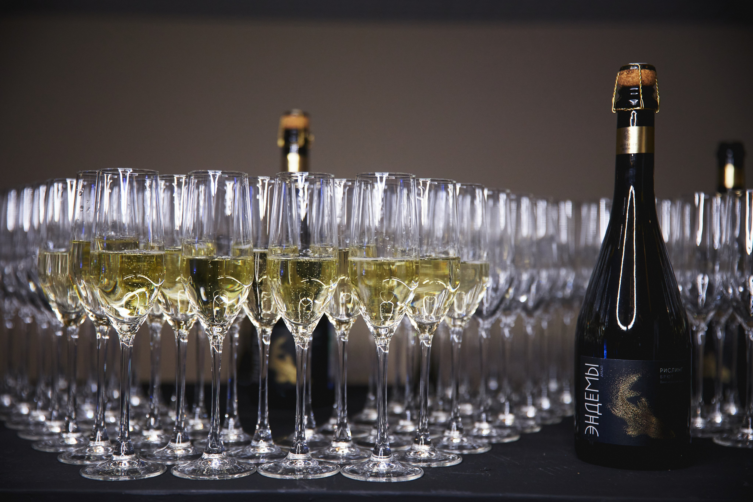 Съезд министров. Татьяна Фомичева. Репортажный и светский фотограф в Москве