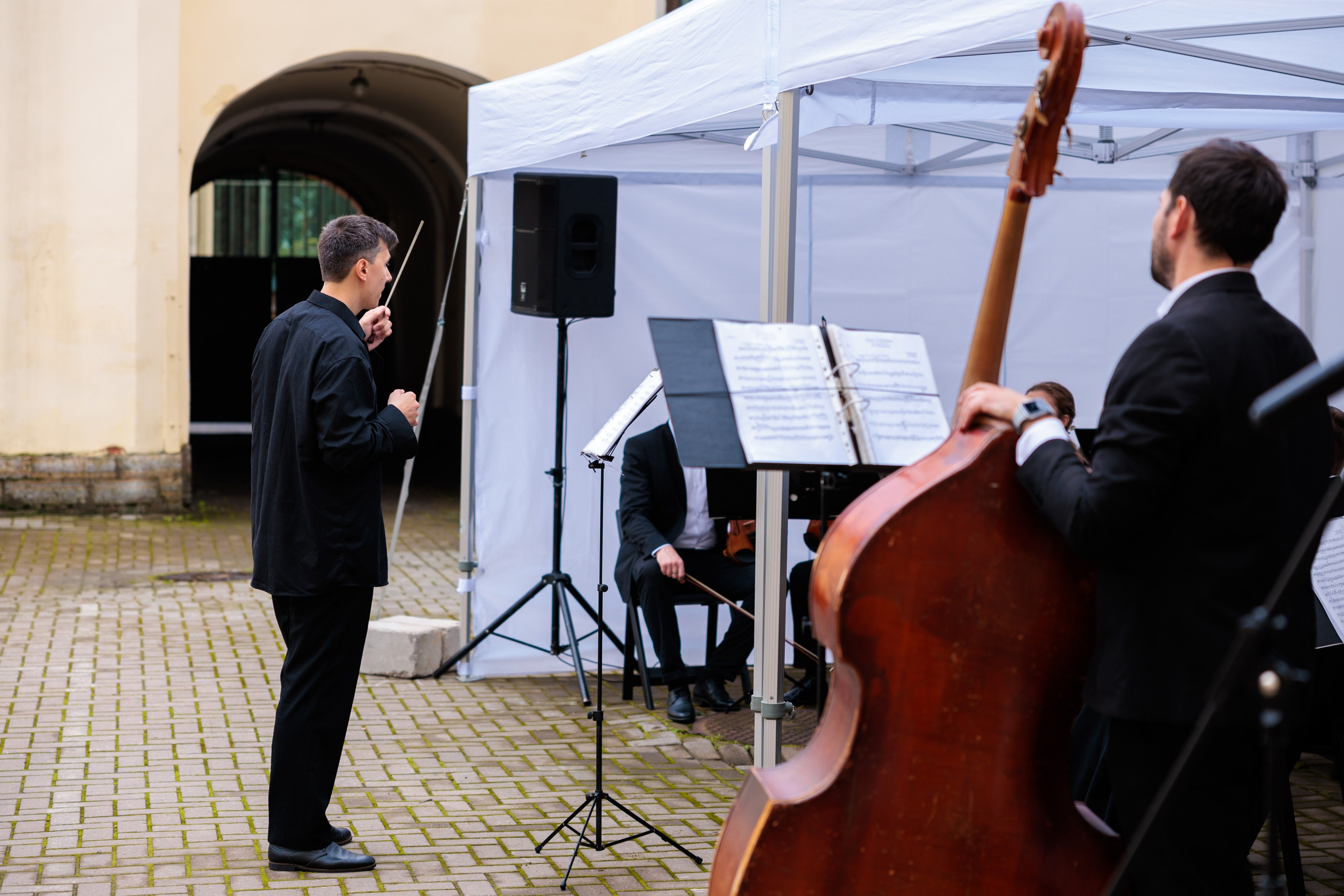 Концерт малого симфонического оркестра. Репортажный фотограф Санкт-Петербург | Роман Карбышев