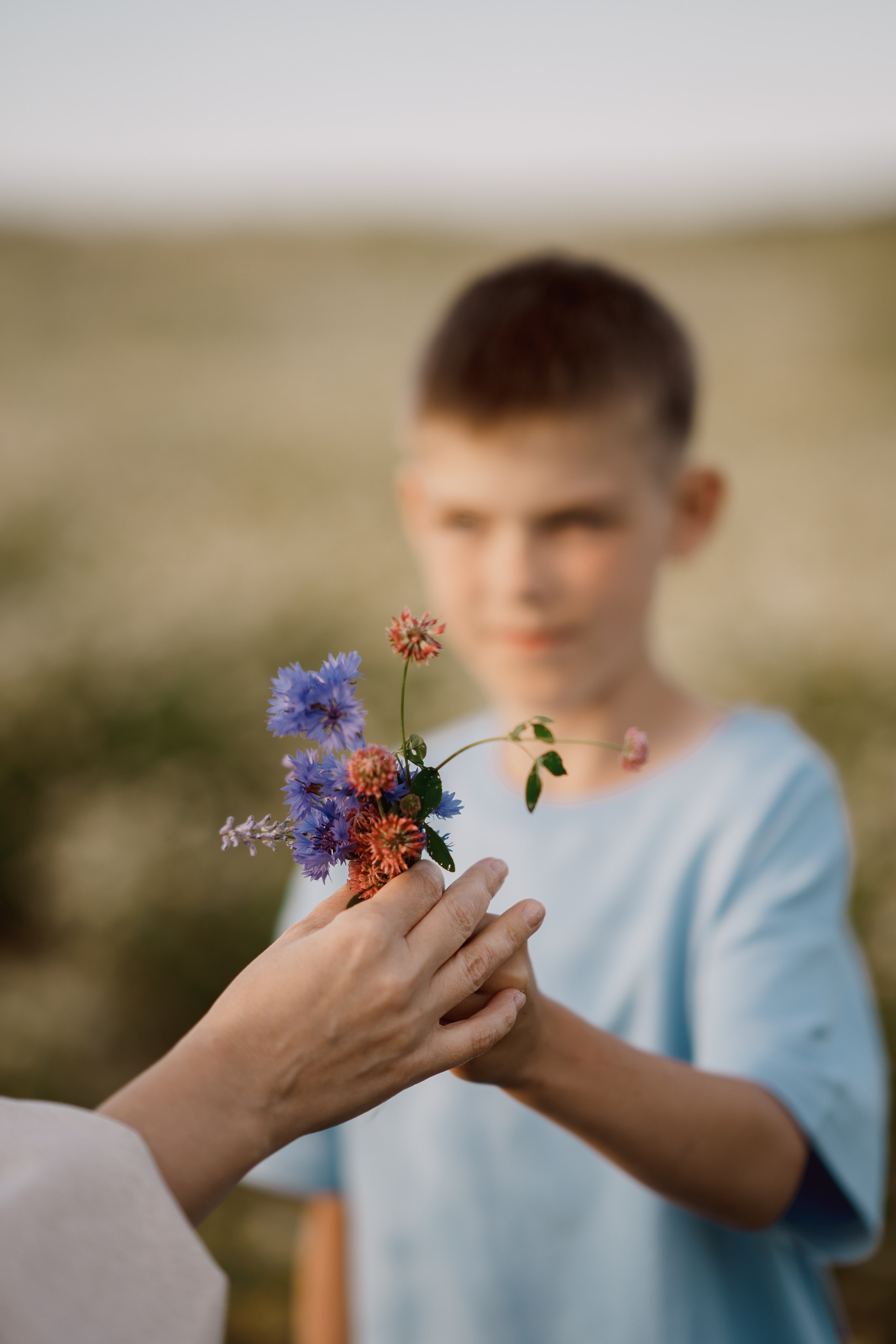 Ромашковое поле. Радонеж. Семейный и детский фотограф в Сергиев Посаде, Хотьково Якимчук Любовь