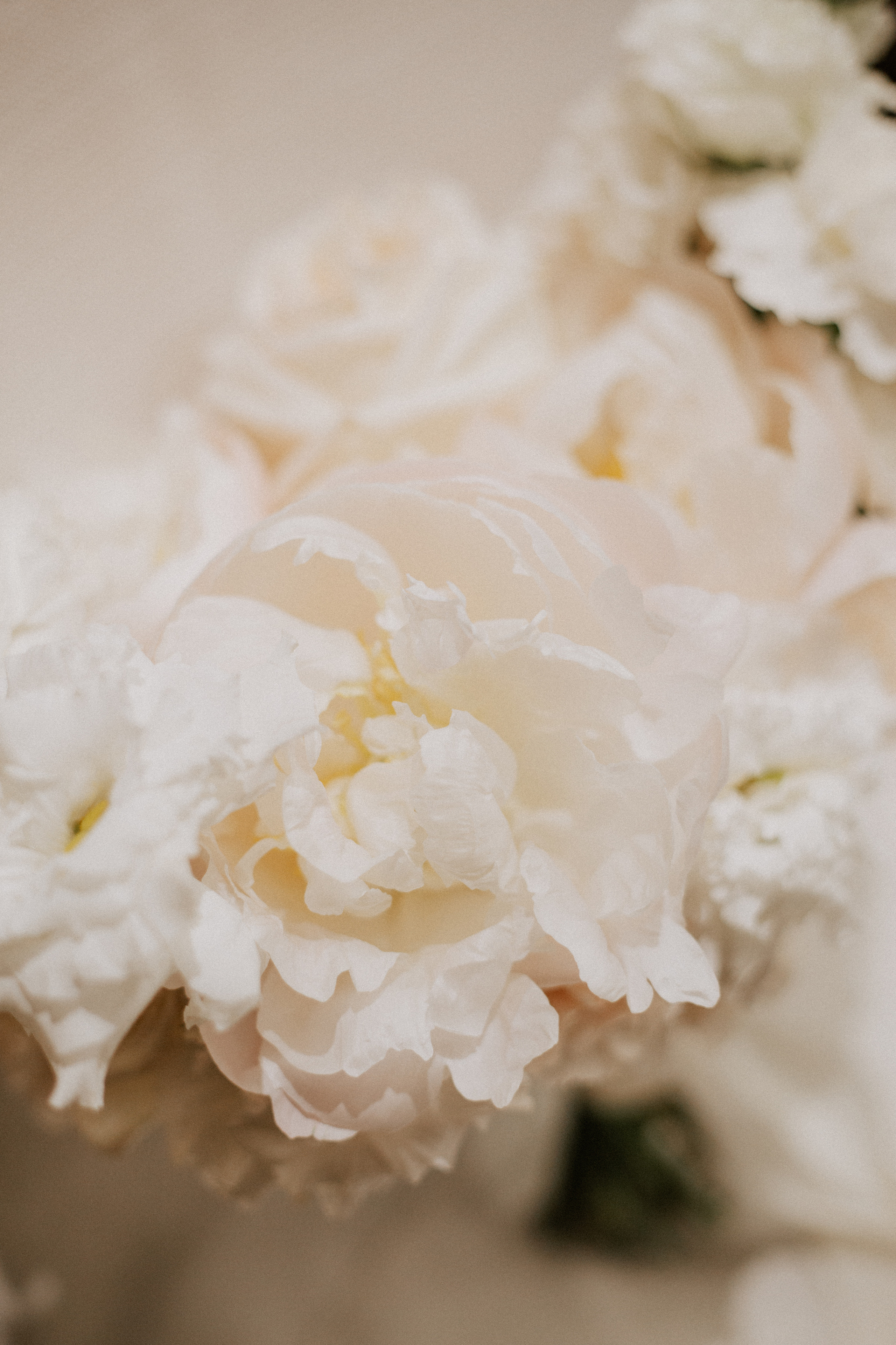 Ксюша и Антон. Фотограф|Волгоград|Фролово