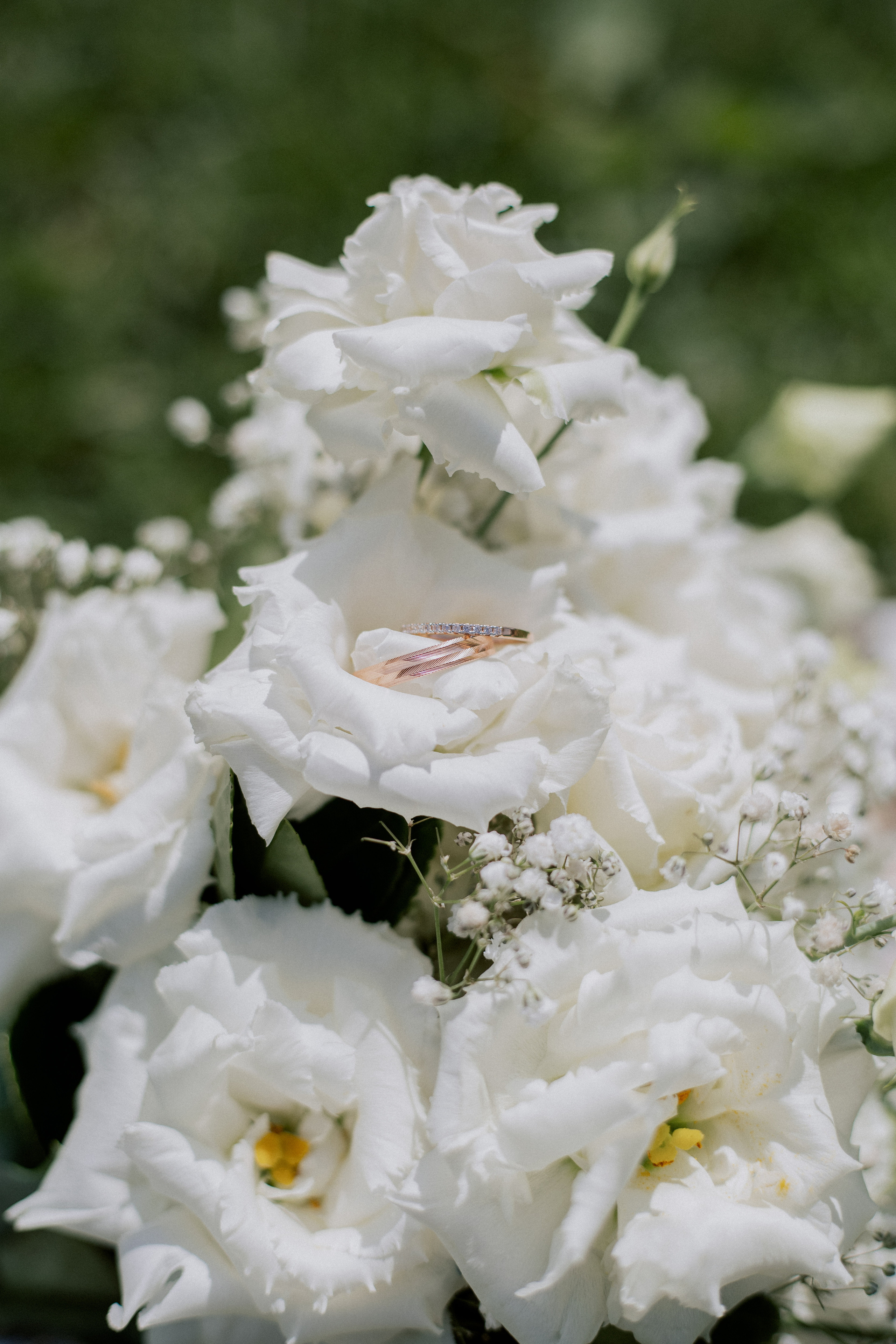 Фотограф|Волгоград|Фролово