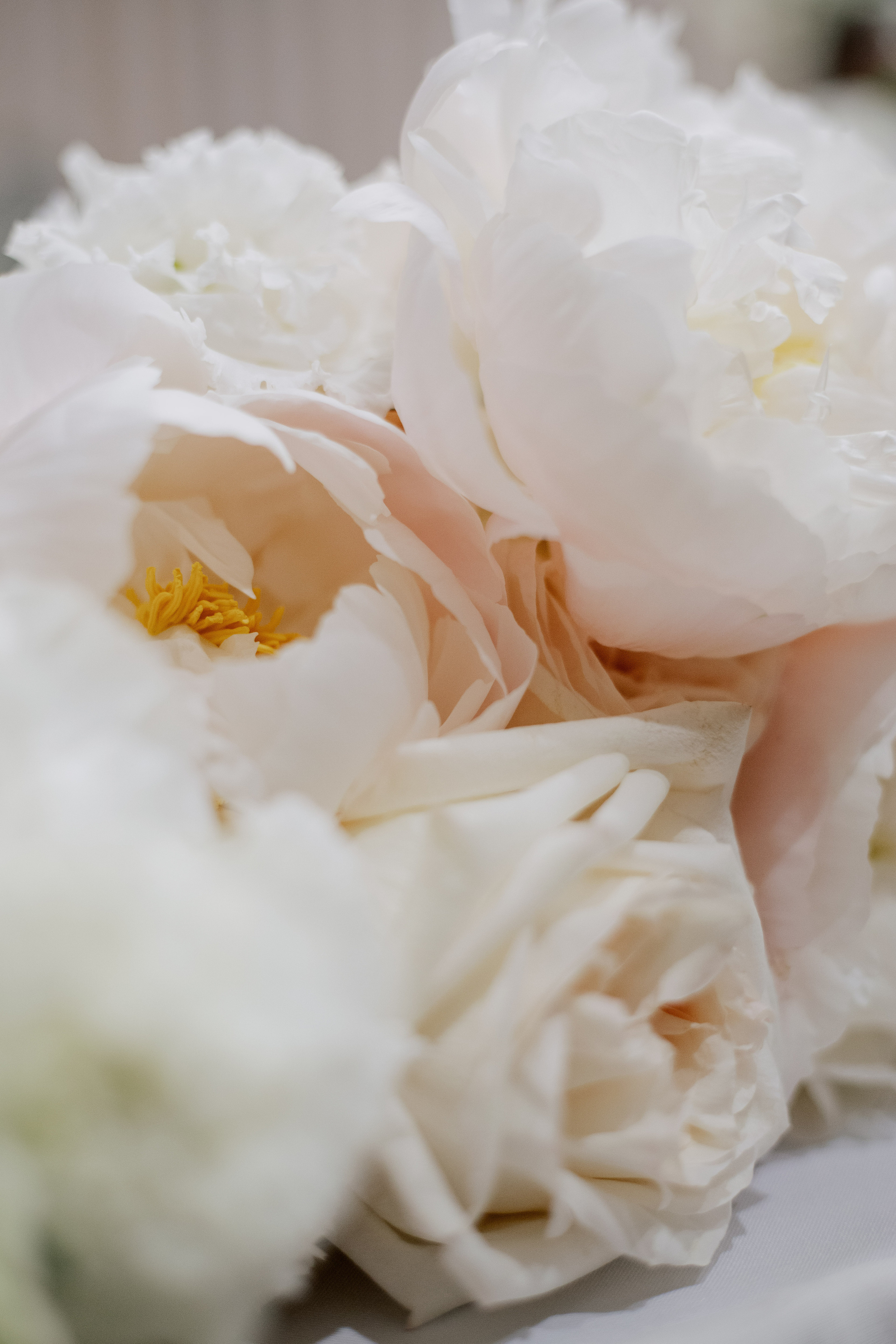 Ксюша и Антон. Фотограф|Волгоград|Фролово