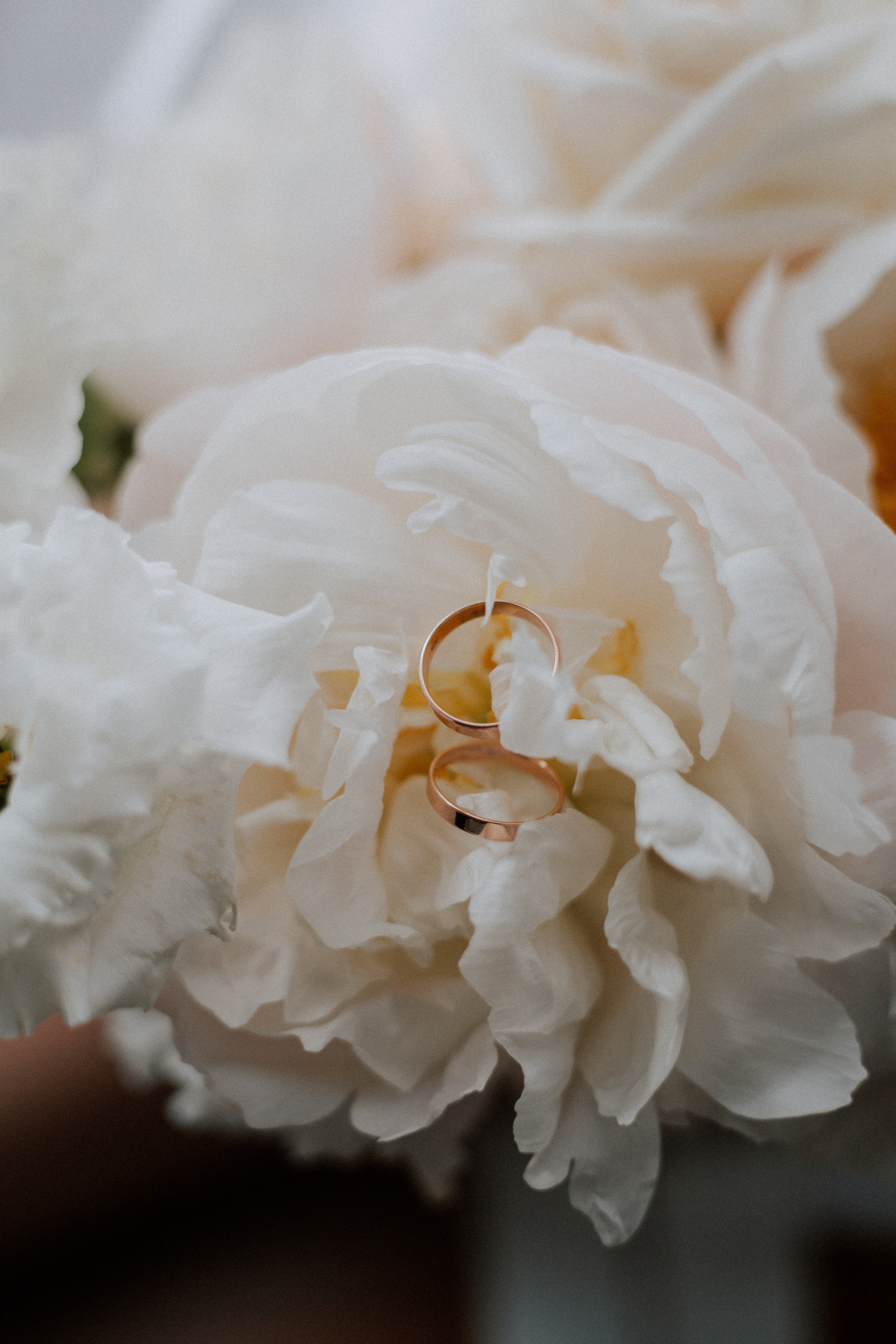 Ксюша и Антон. Фотограф|Волгоград|Фролово