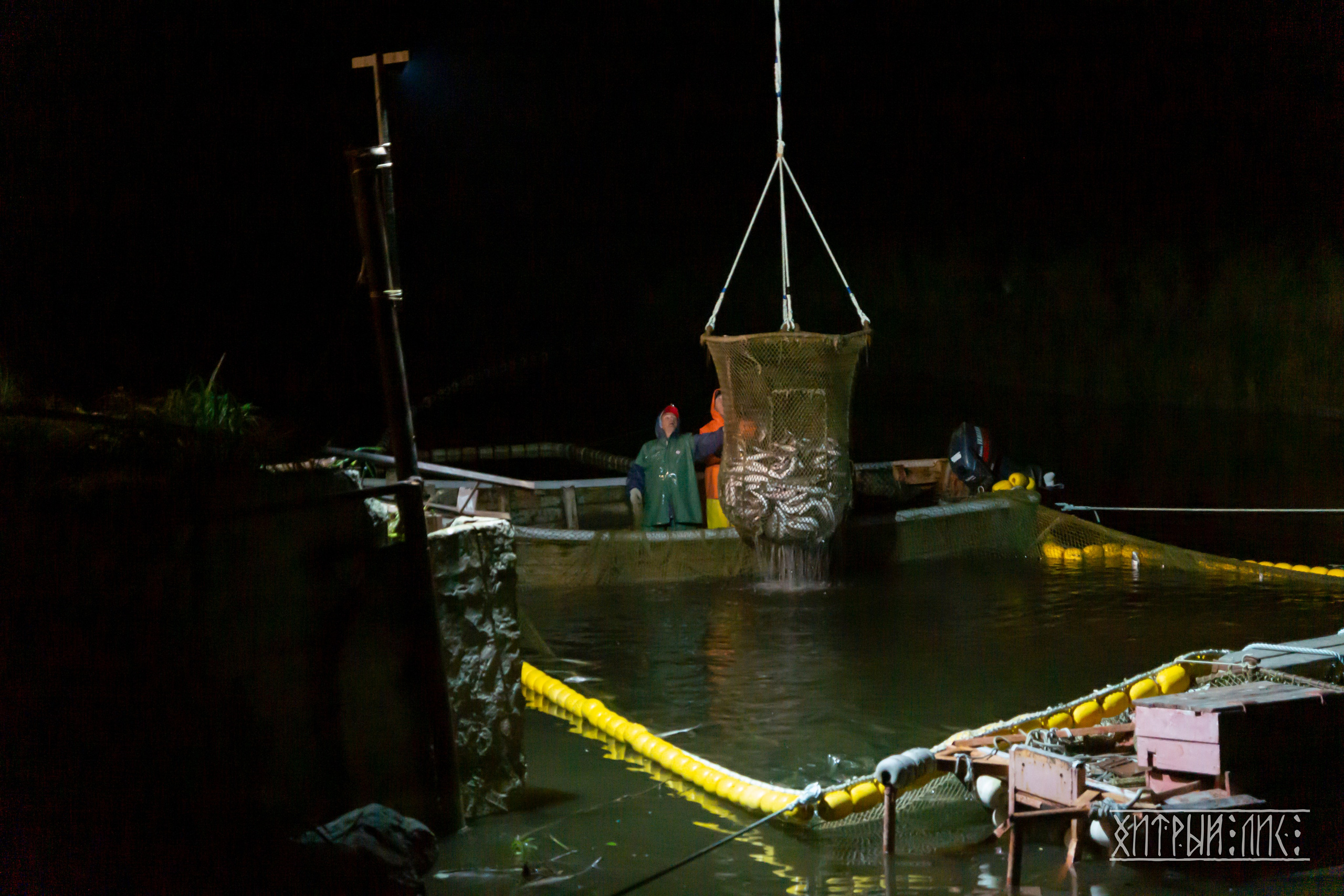 Сахалин. Фотограф-путешественник Самойлов Максим «Sly Fox»