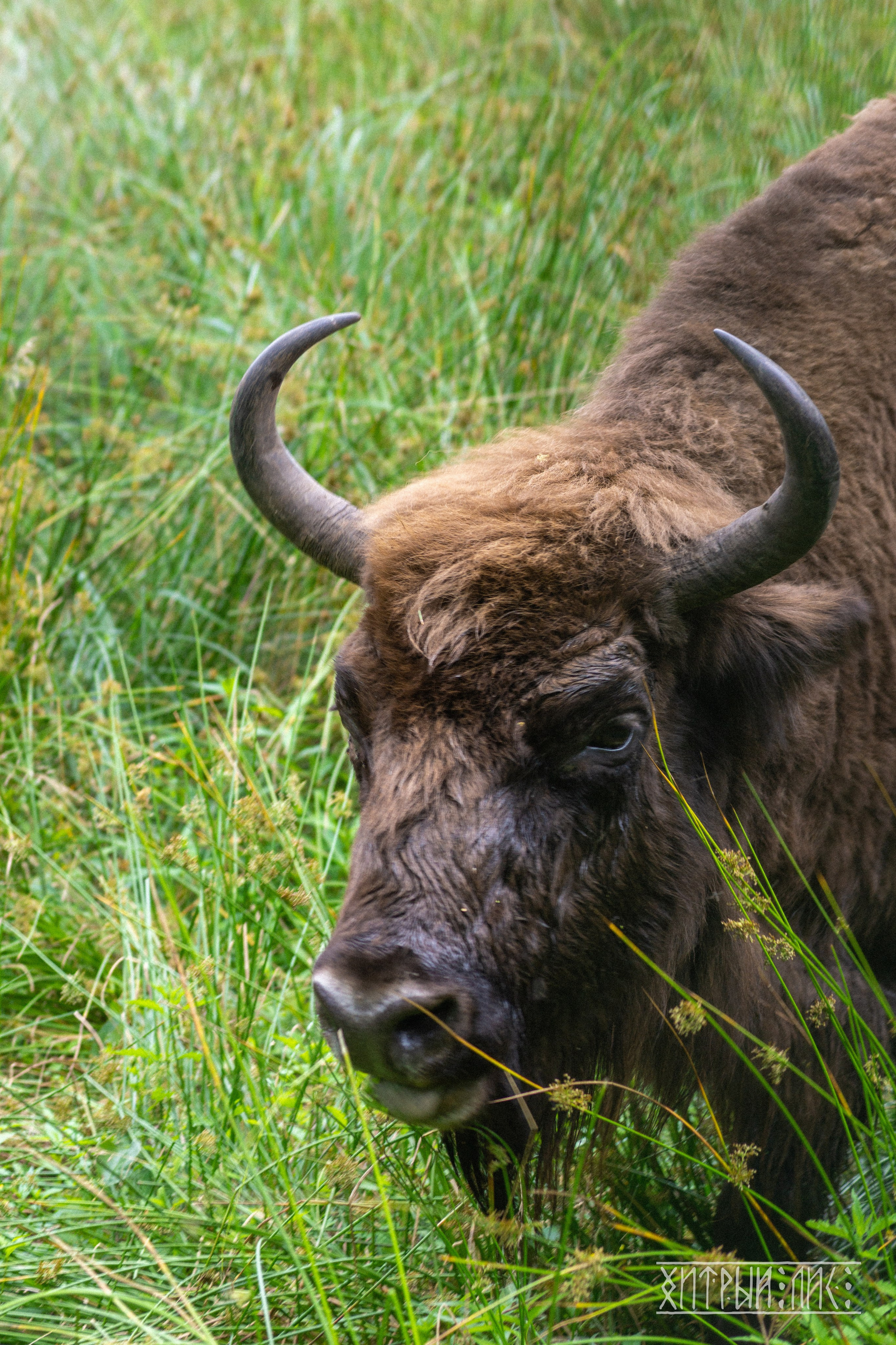 Беларусь. Фотограф-путешественник Самойлов Максим «Sly Fox»