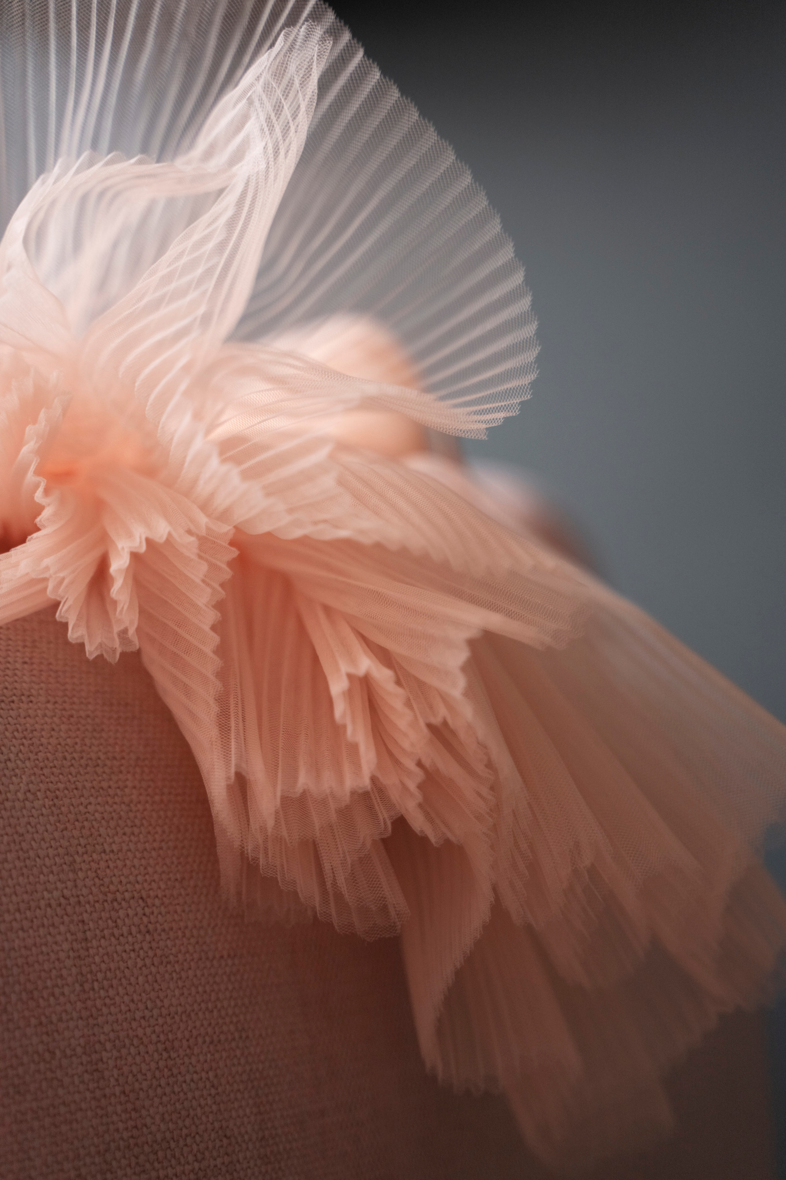 ЕЛЕНА. Семейный и детский фотограф в Москве