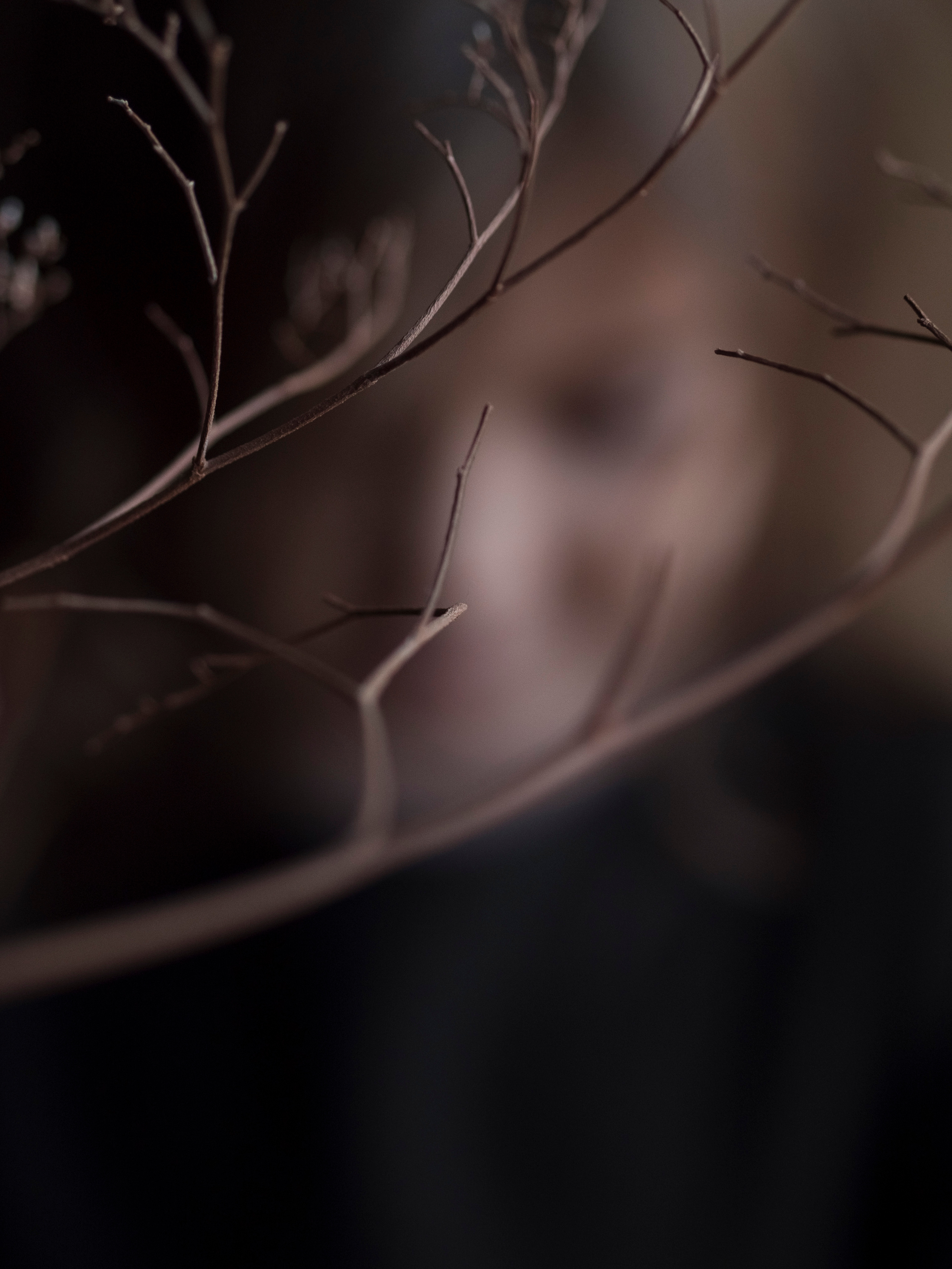 НИНА. Семейный и детский фотограф в Москве