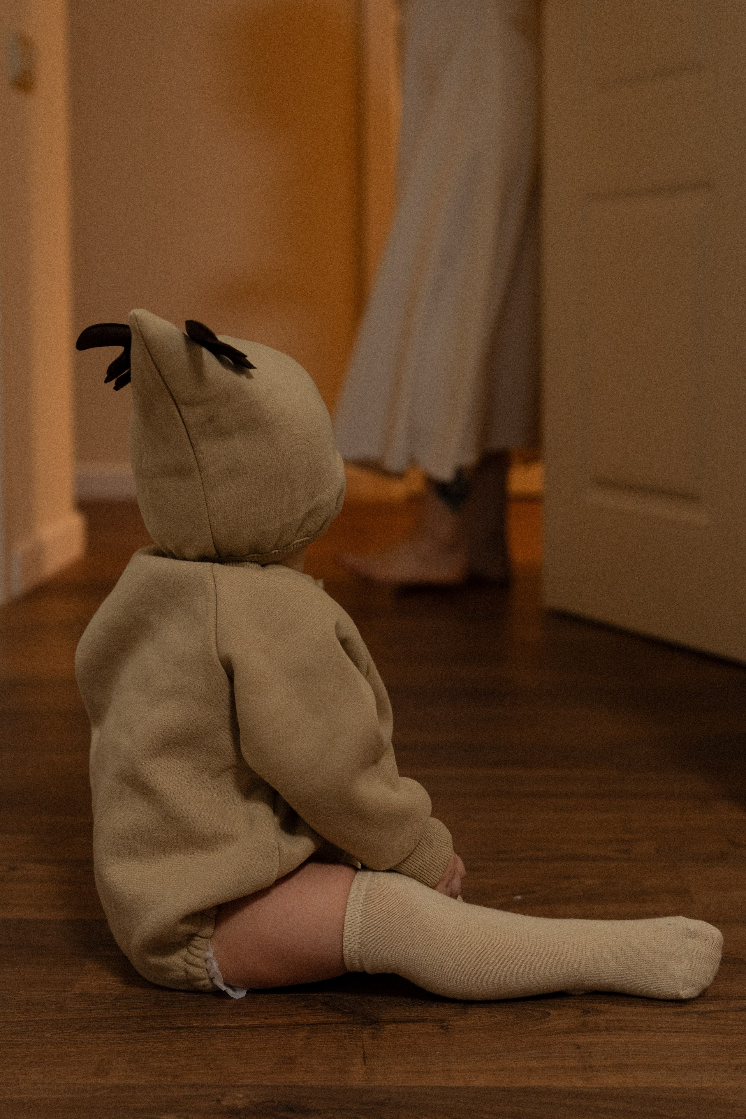 Новогодние тройняшки. Главная