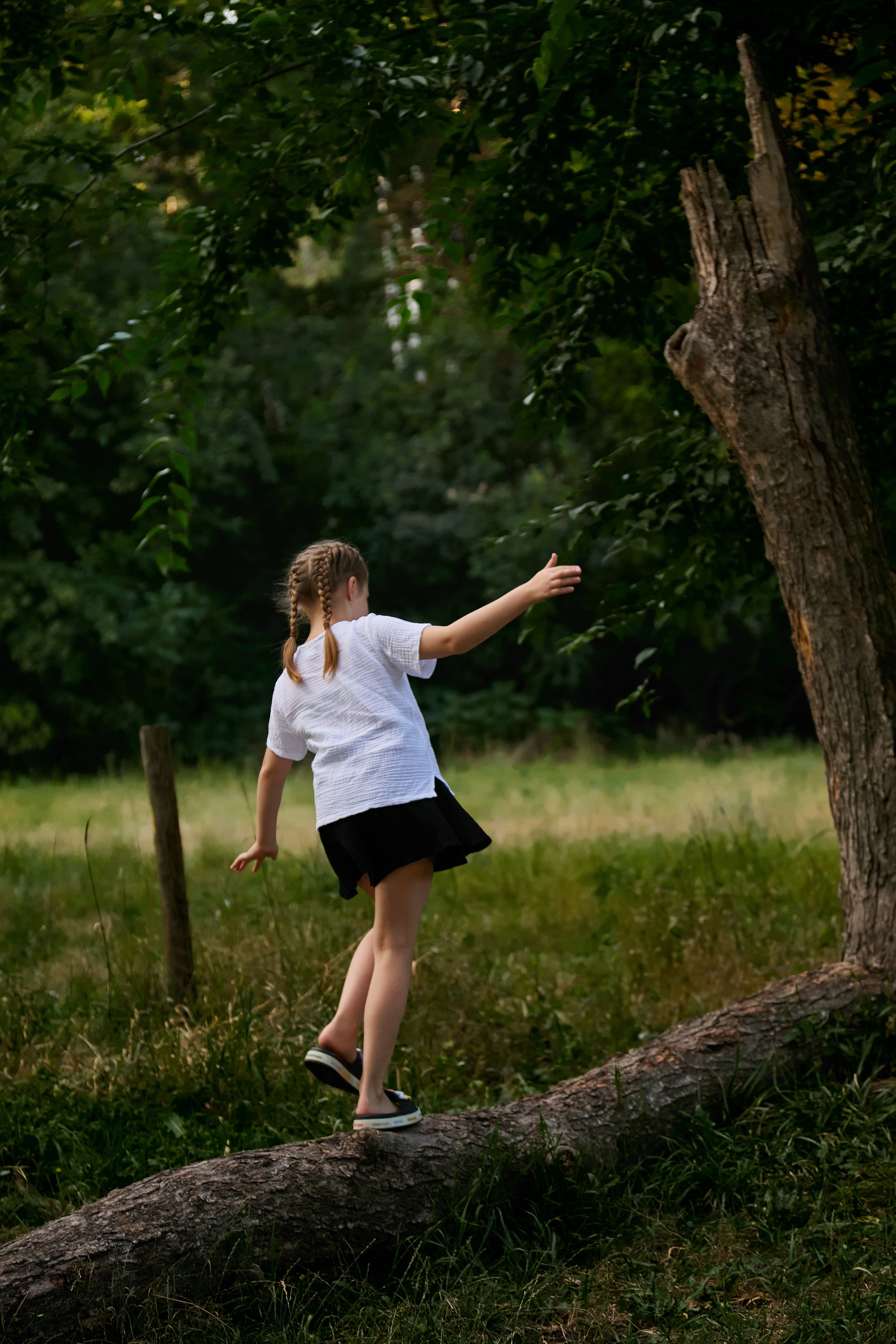 «В роще…». Свадебный и креативный фотограф в ЮФО и МСК