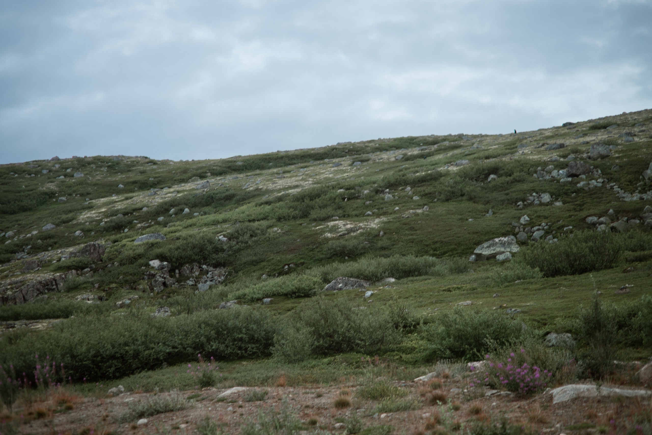 Мурманск. Фотограф Сергей Красильников