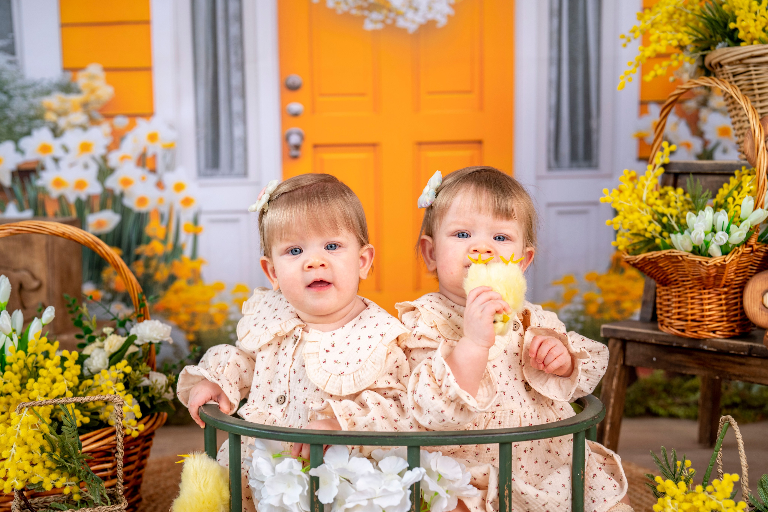 Алиса и Василиса. Детский и семейный фотограф в Москве Анастасия Стегниенко
