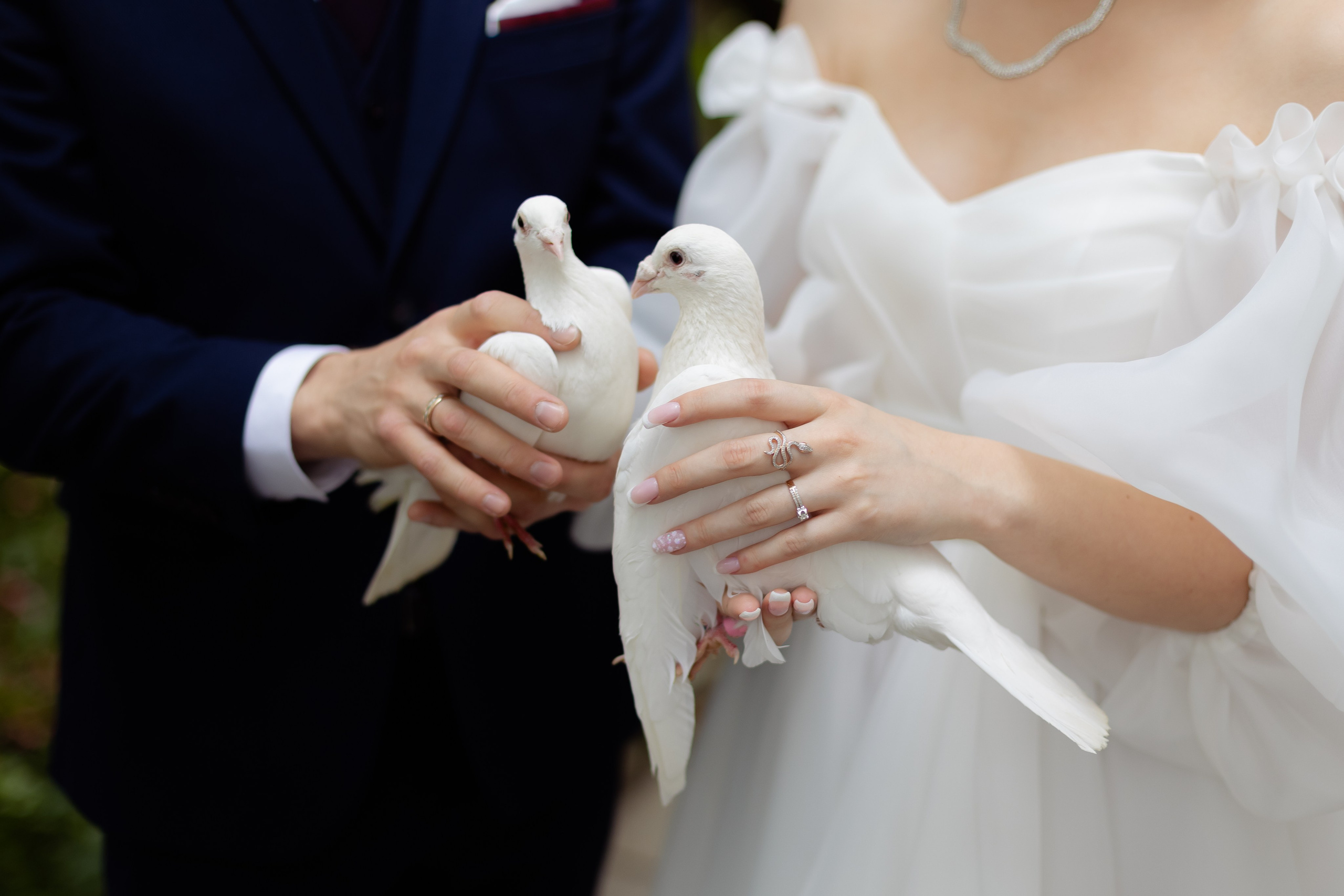 Свадьба Александр и Анастасия. Репортажный фотограф видеограф в Москве Ольга Плаксина