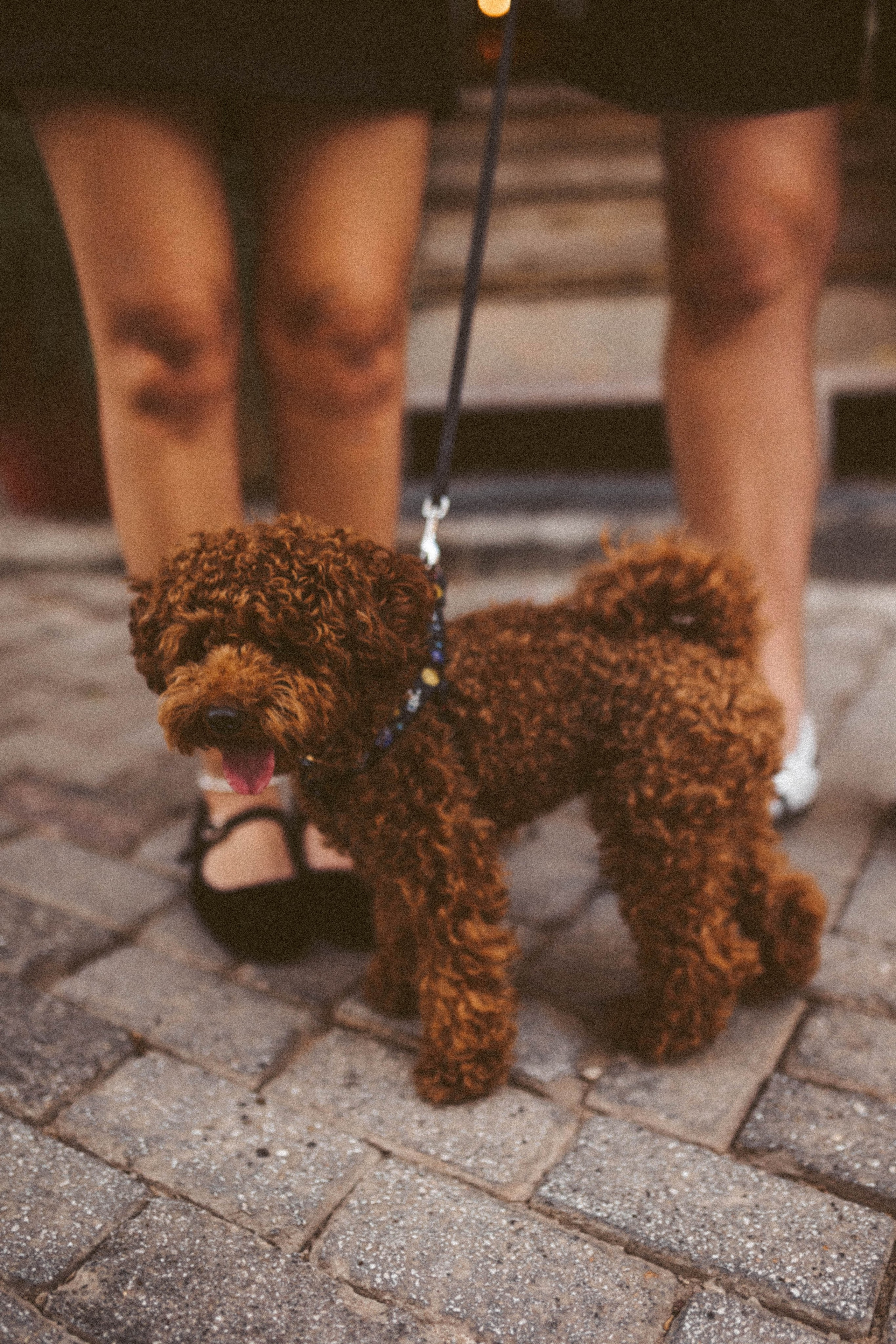 Рома/Лиза Каш. Фотограф в Москве Татьяна Сергеева