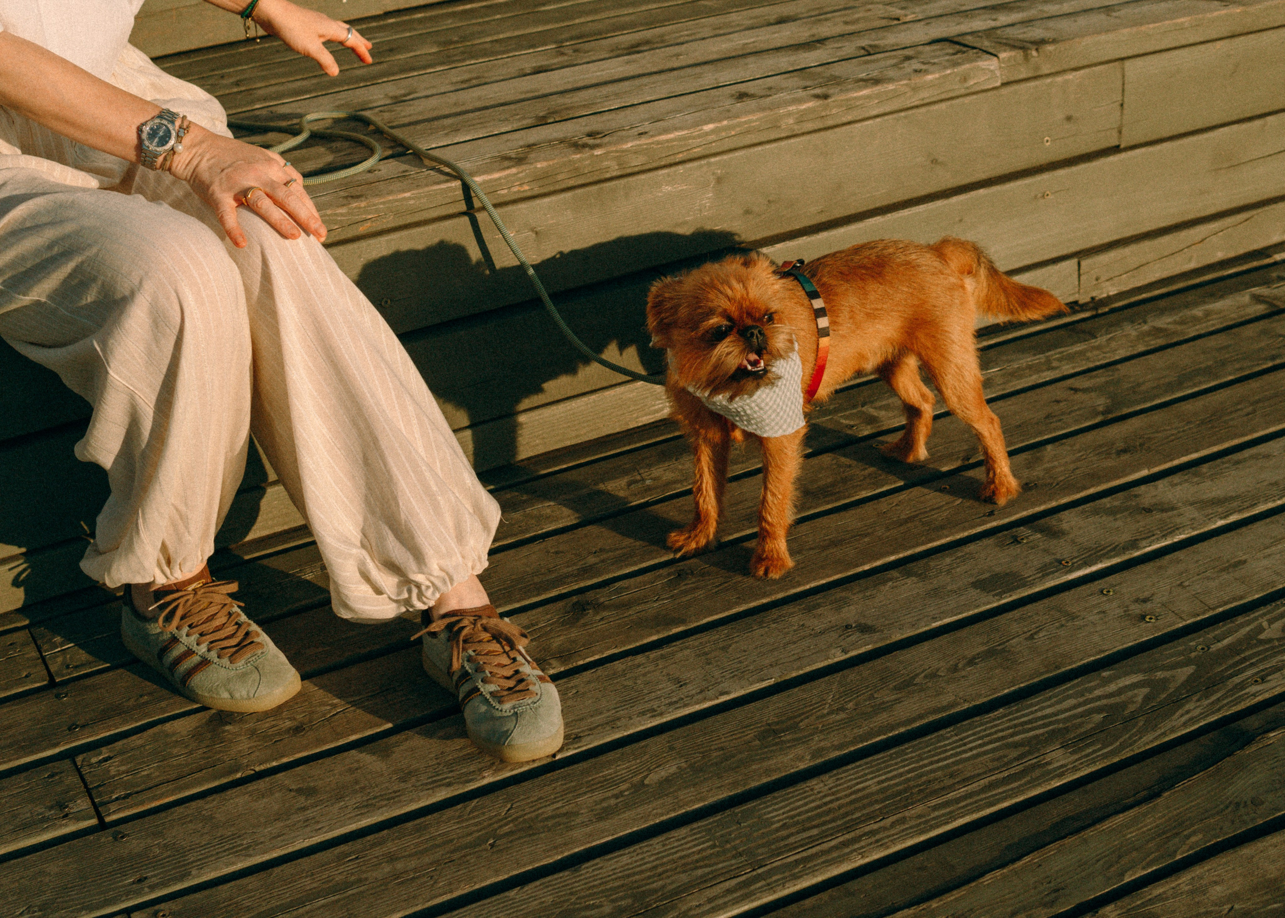 Лена и Альфи. Фотограф-анималист Ксения Воробьева, Москва