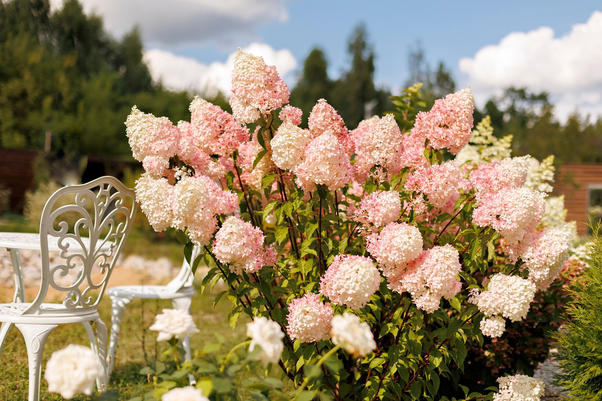 Парк-заповедник Купидон. Семейный фотограф в Димитровграде Елена Патрушева