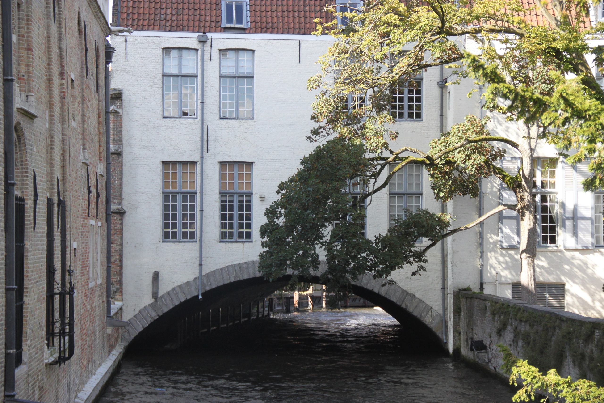 Bruges, Belgium. Andrey Filippov Photographer