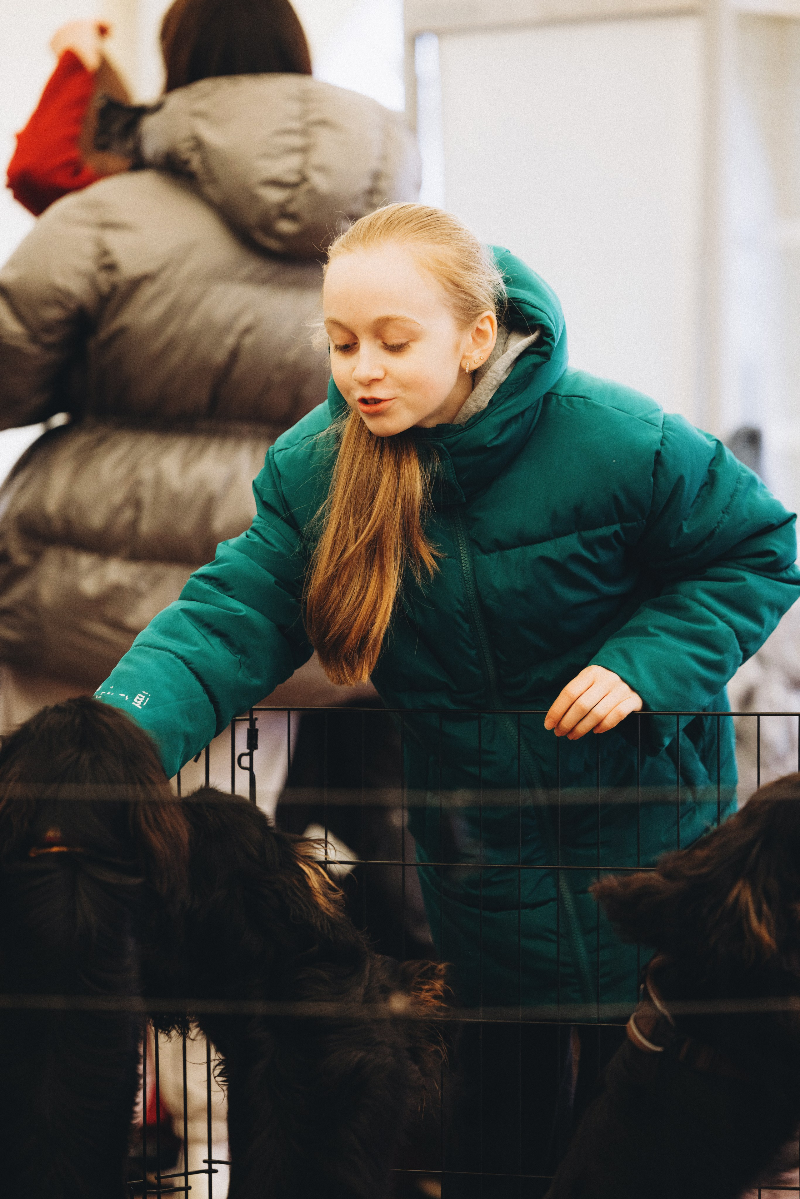 Встреча ККЧС. Фотограф анималист Осипчикова Мария