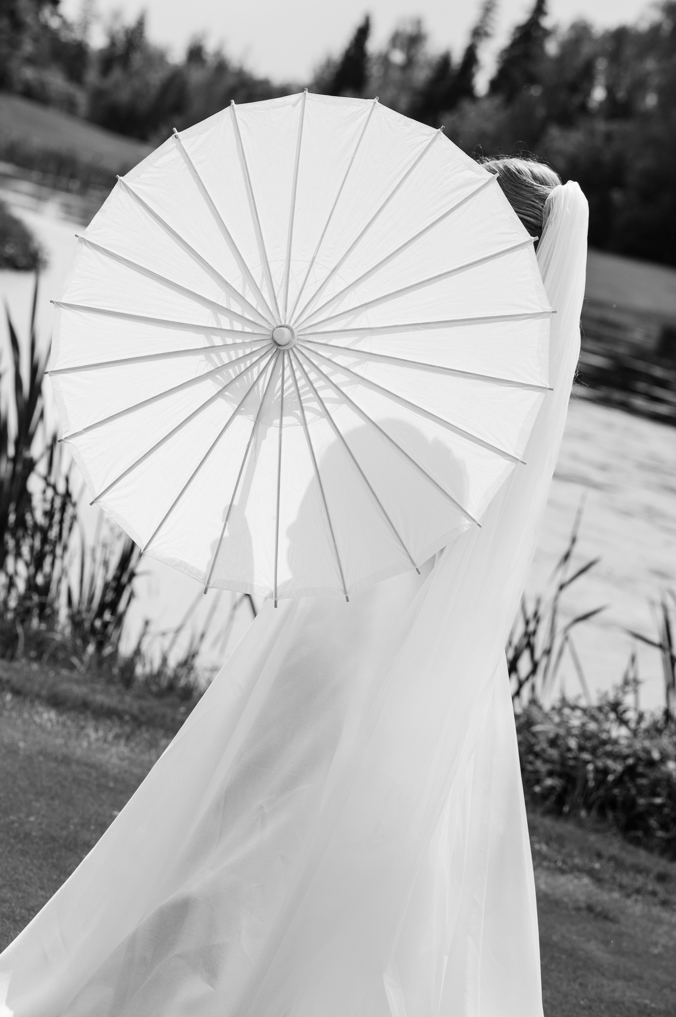 Wedding E&D. Wedding photographer in Moscow and around the world Andrey Medvednikov