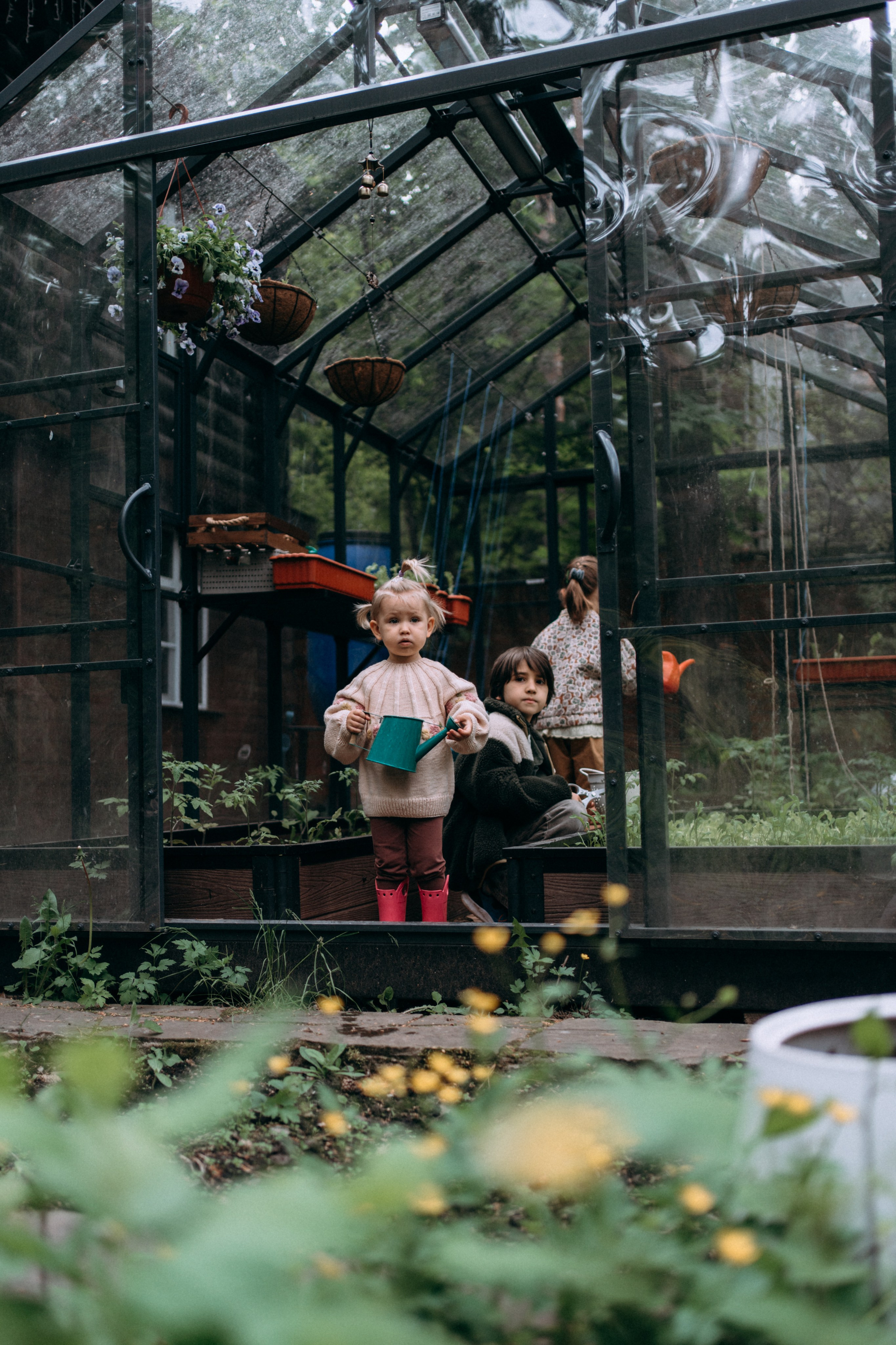 Дети. Курицы. Теплица. СТИЛЬ. Семейный и детский фотограф и видеограф в Москве, Серпухове и Тарусе Валерия Сорокина