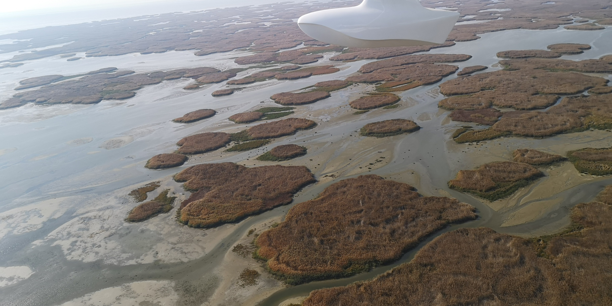 Каспийское море (наука на Ла-8) (2021 г.). Фотоальбом показывающий увлекательный мир авиации и мир медведей Андрея Иванова