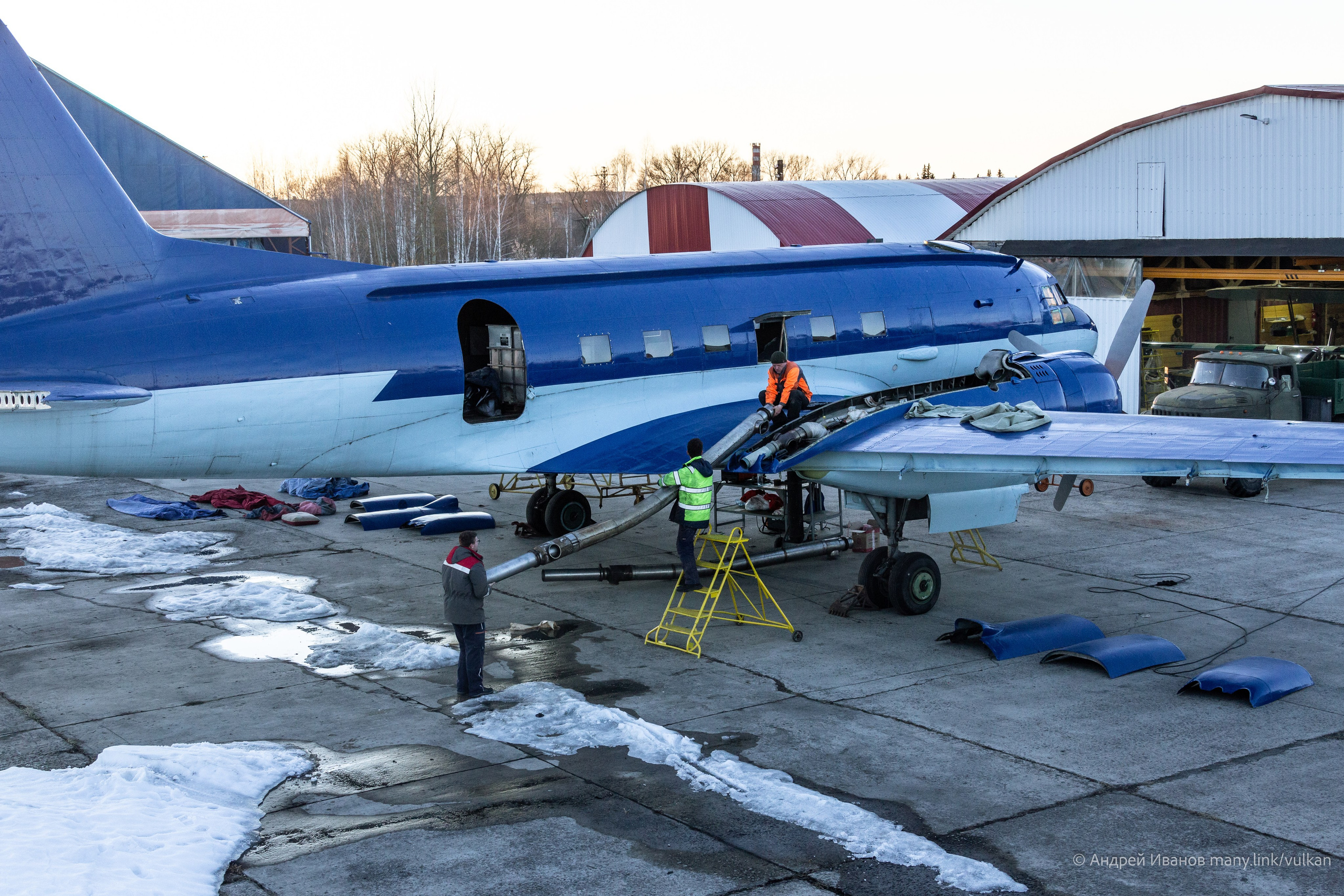 Ил-14Т «Голубая Мечта» (2026 г.). Фотоальбом показывающий увлекательный мир авиации и мир медведей Андрея Иванова