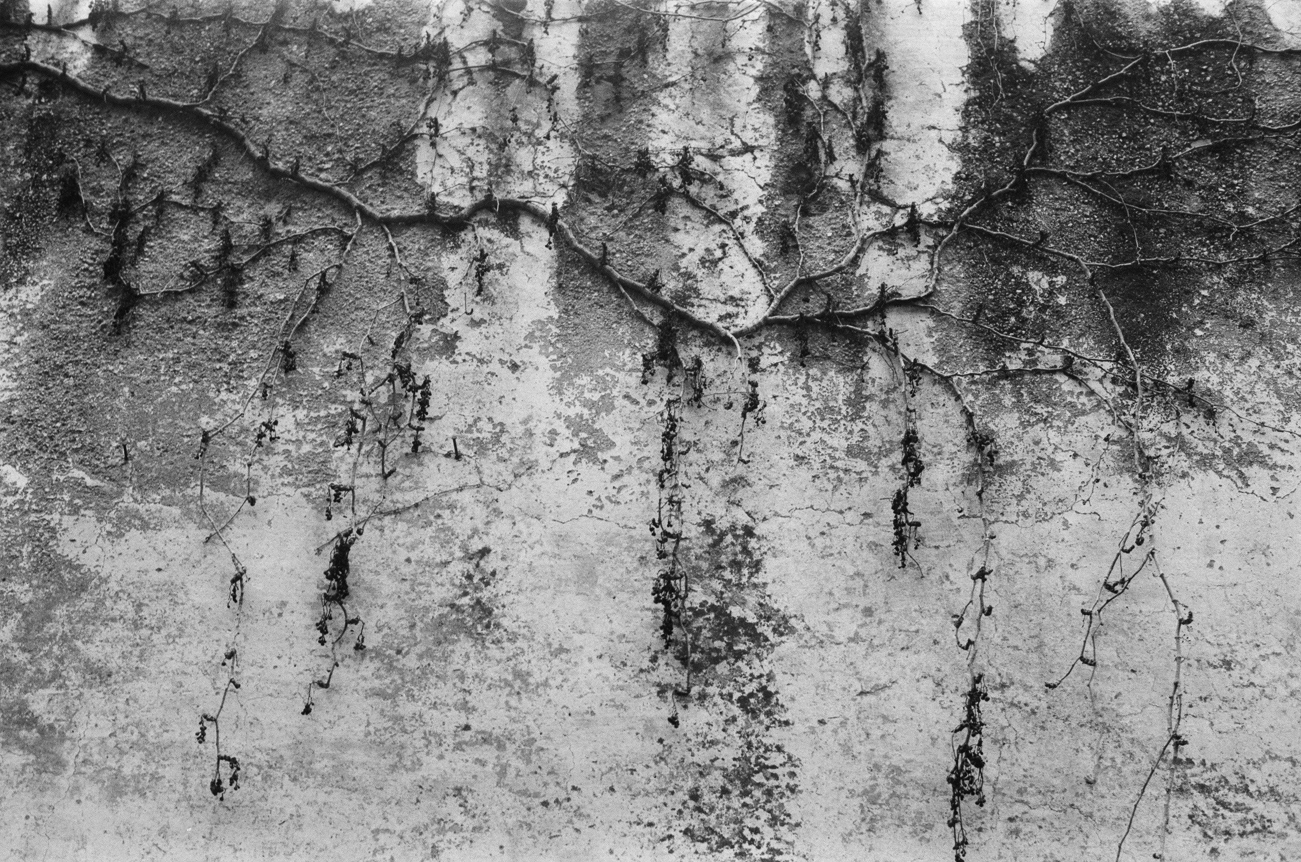 Spanish sahara // spain, caceres. EVER EXPOSED