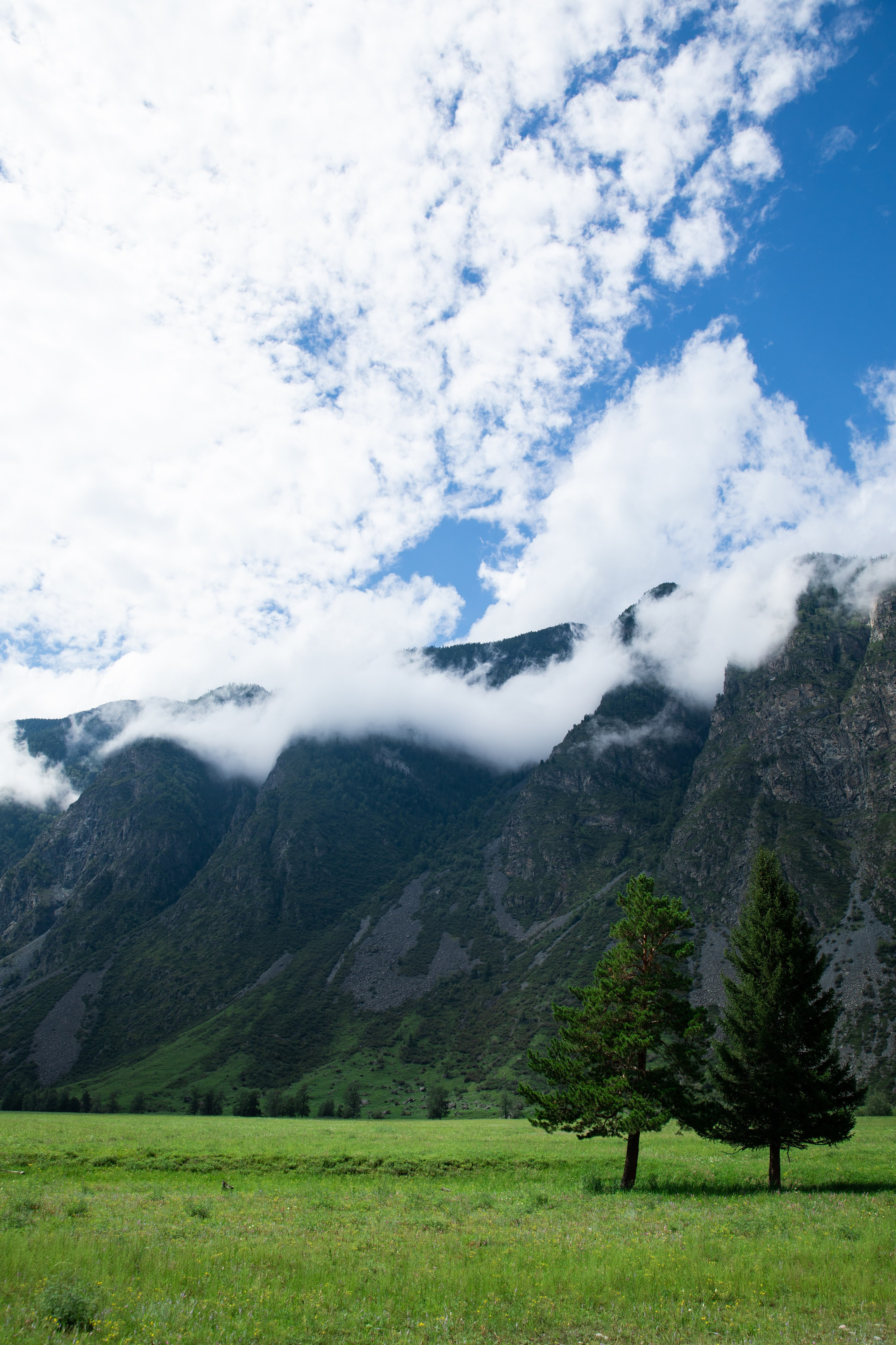 Altai. Yulia Tsyganova